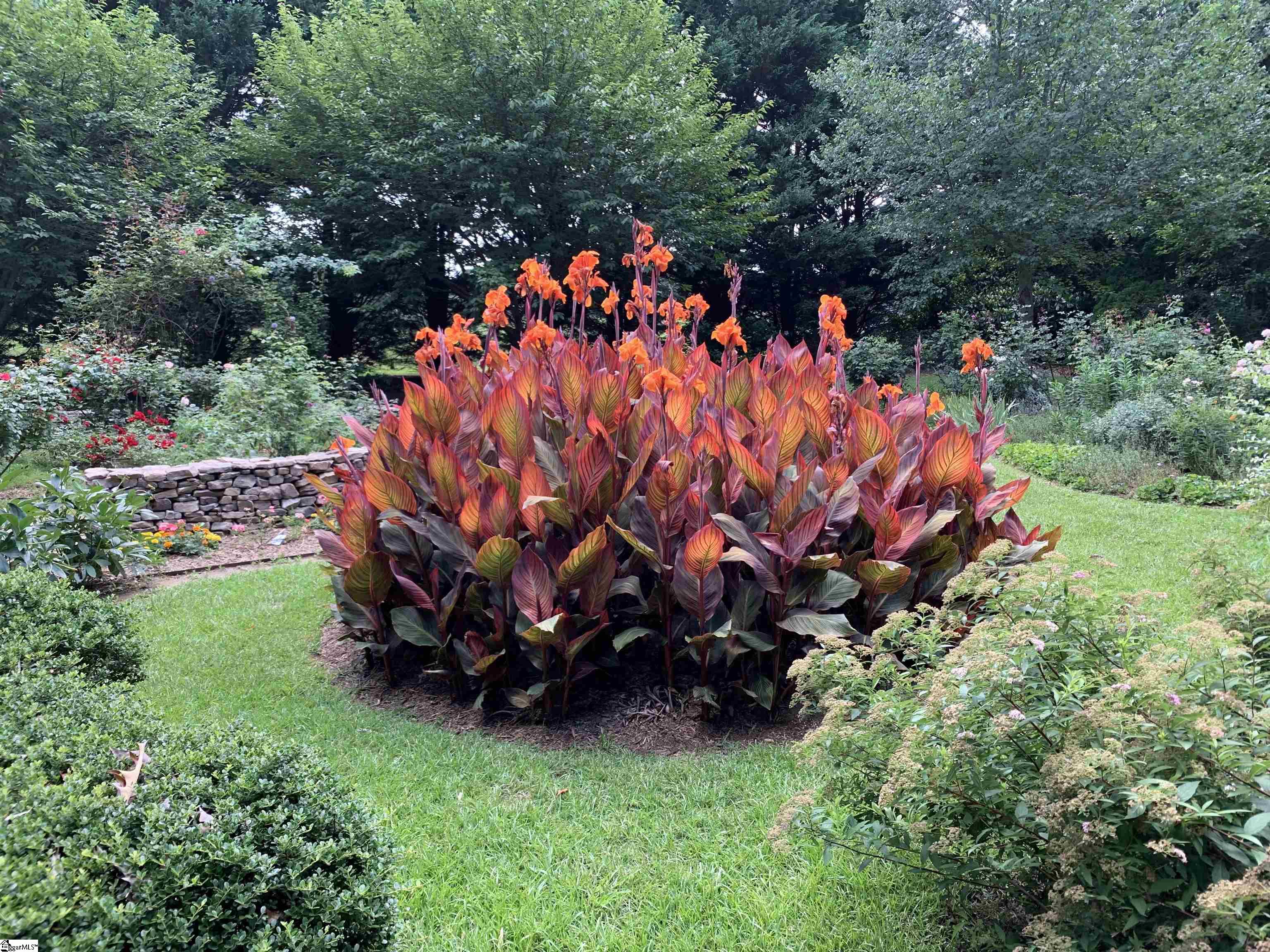 MLS #1571118 image #46