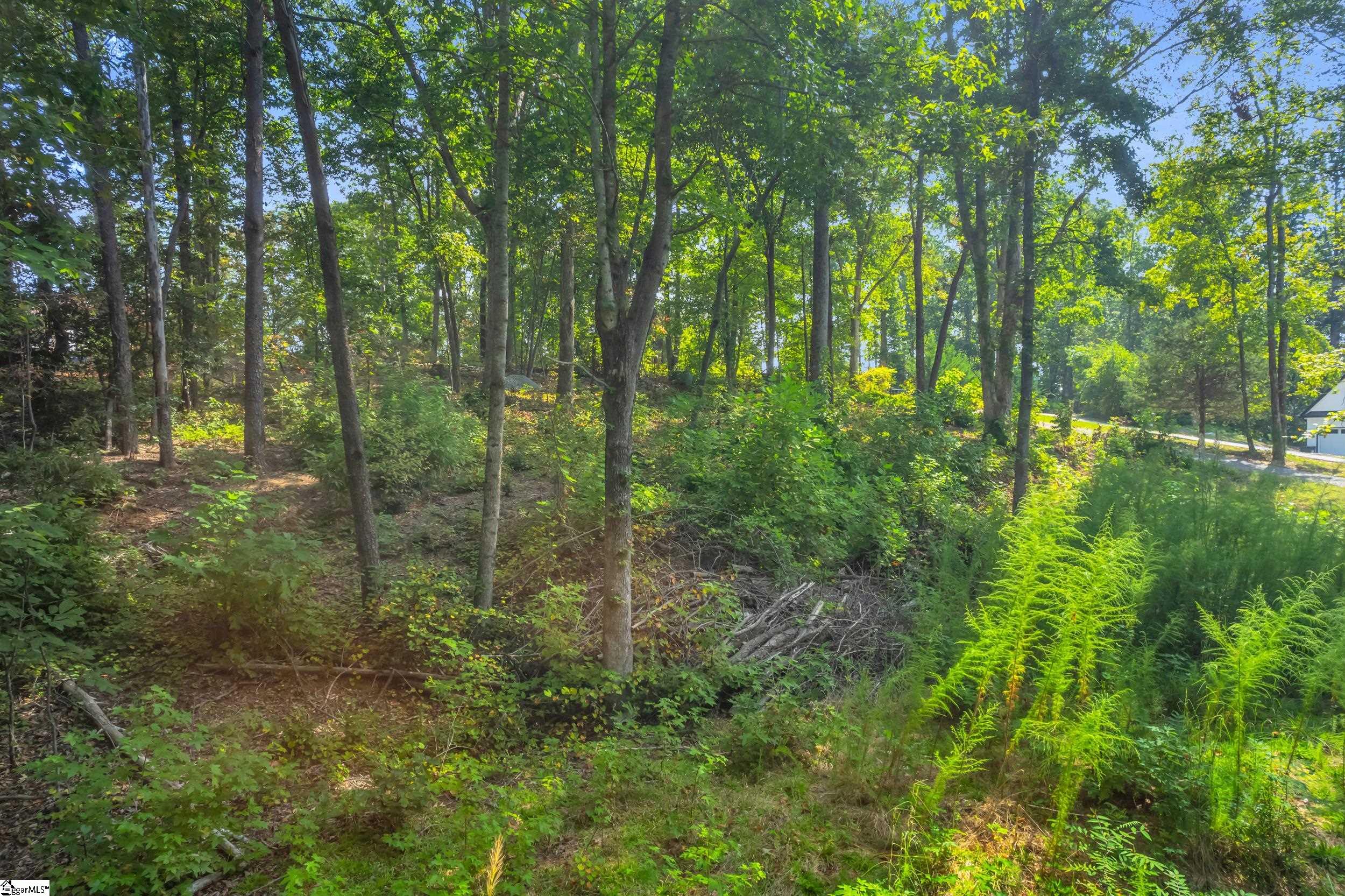 MLS #1571846 image #5