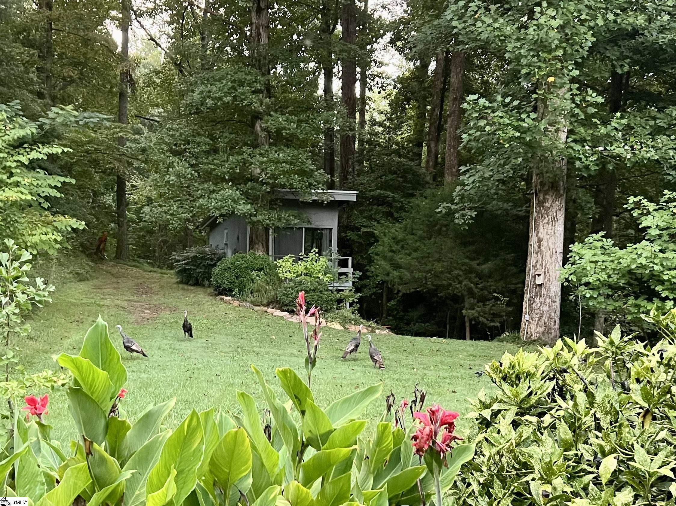 MLS #1566269 image #35