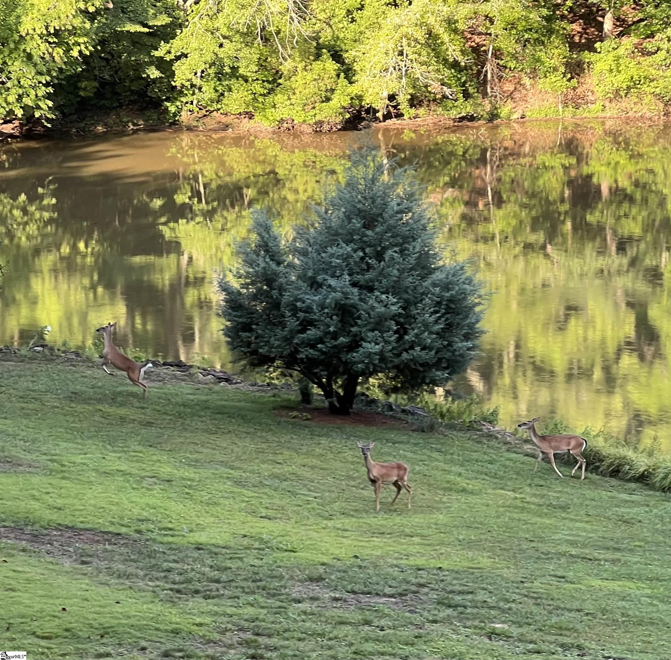 MLS #1566269 image #37