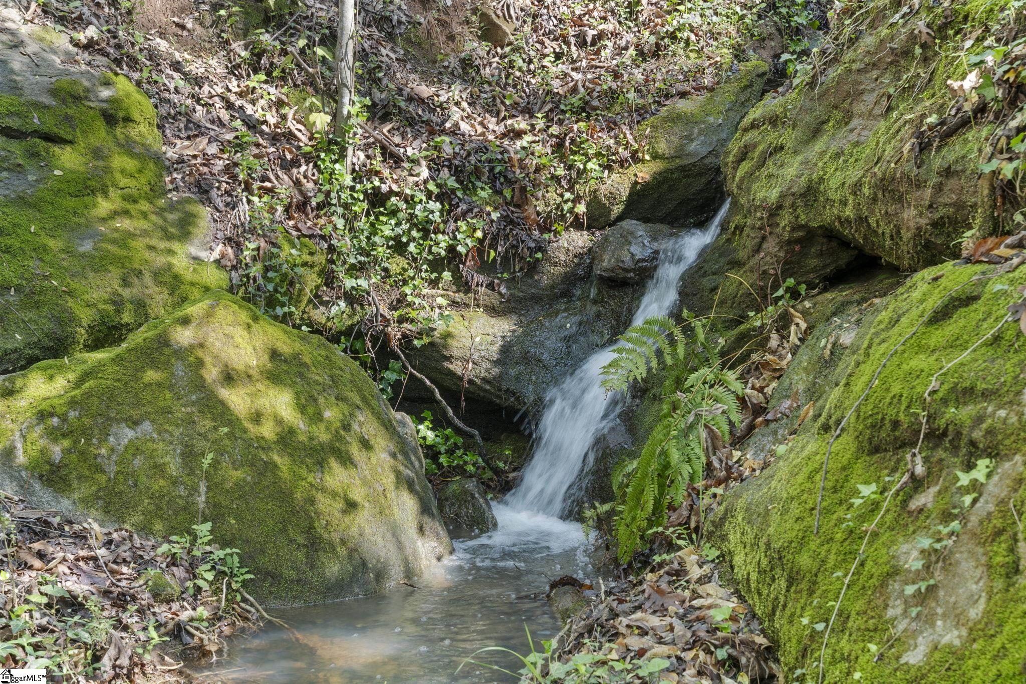 MLS #1566269 image #38