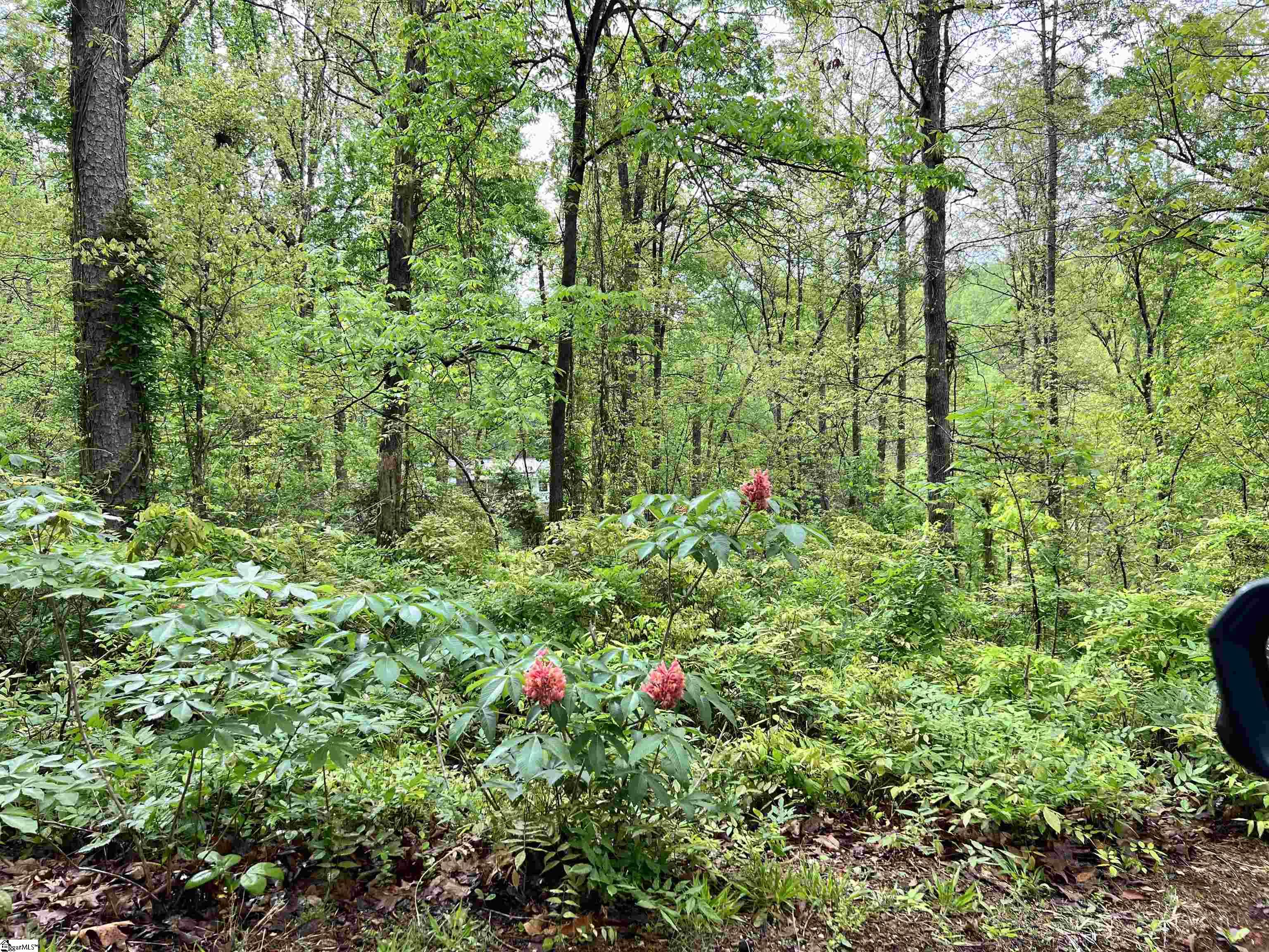 MLS #1566269 image #39