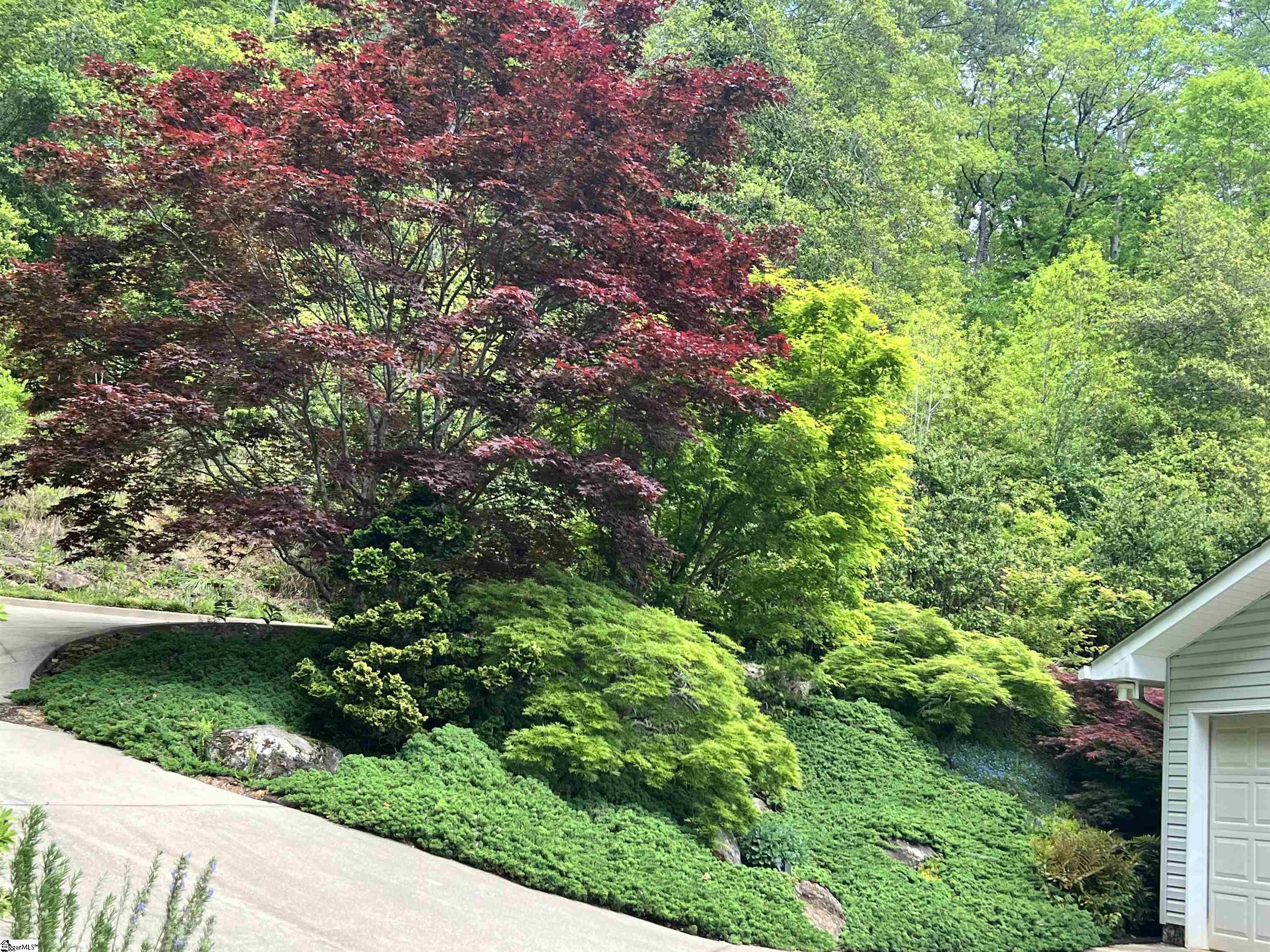 MLS #1566269 image #41