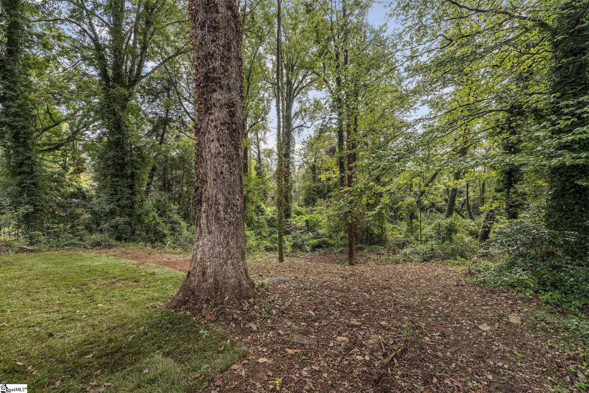 MLS #1571899 image #41