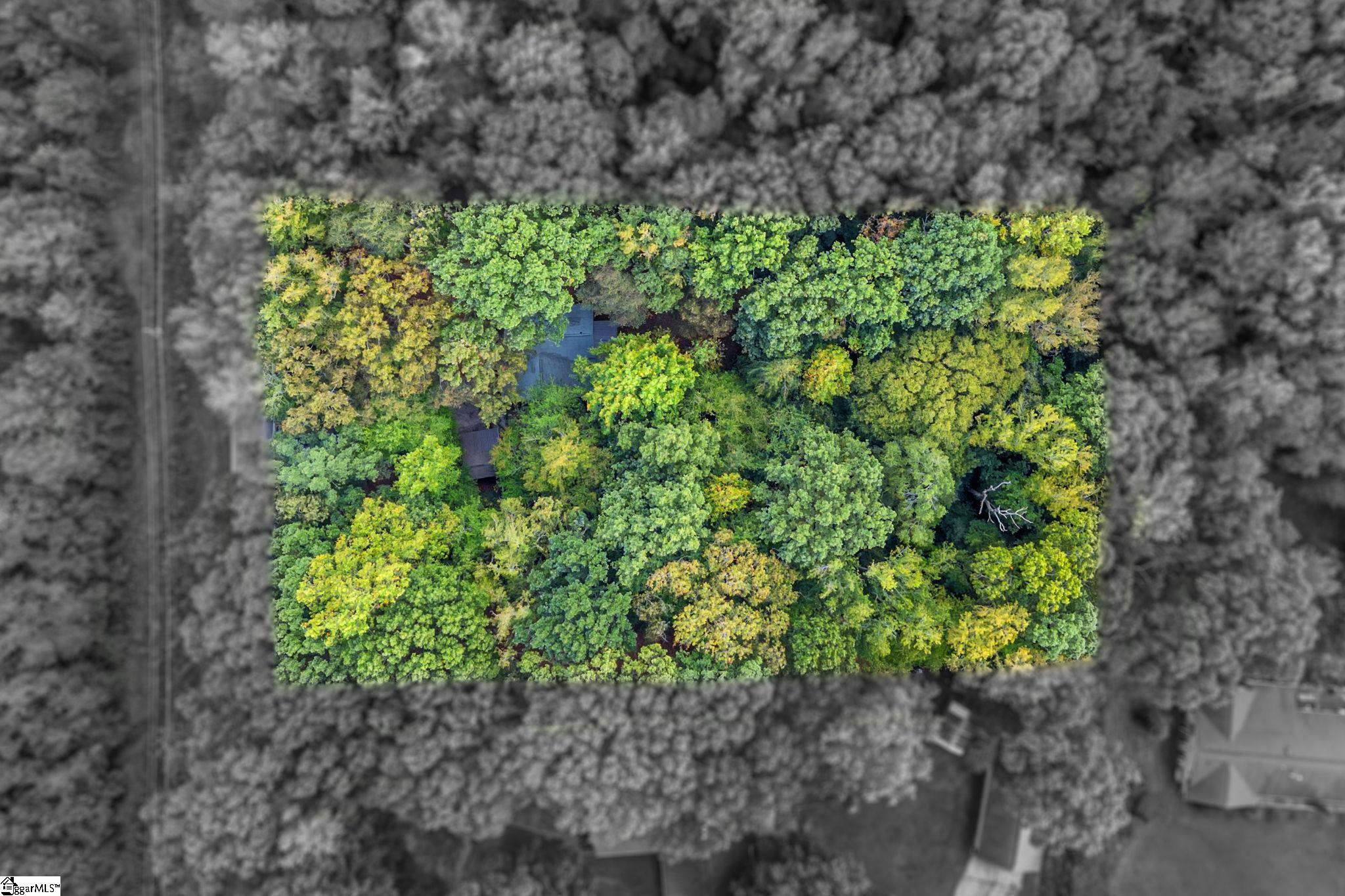 MLS #1571901 image #23