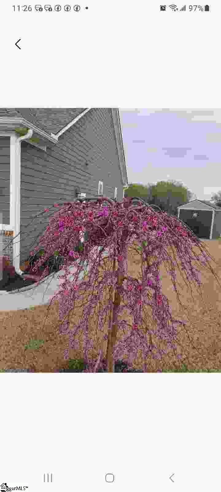 MLS #1571905 image #45