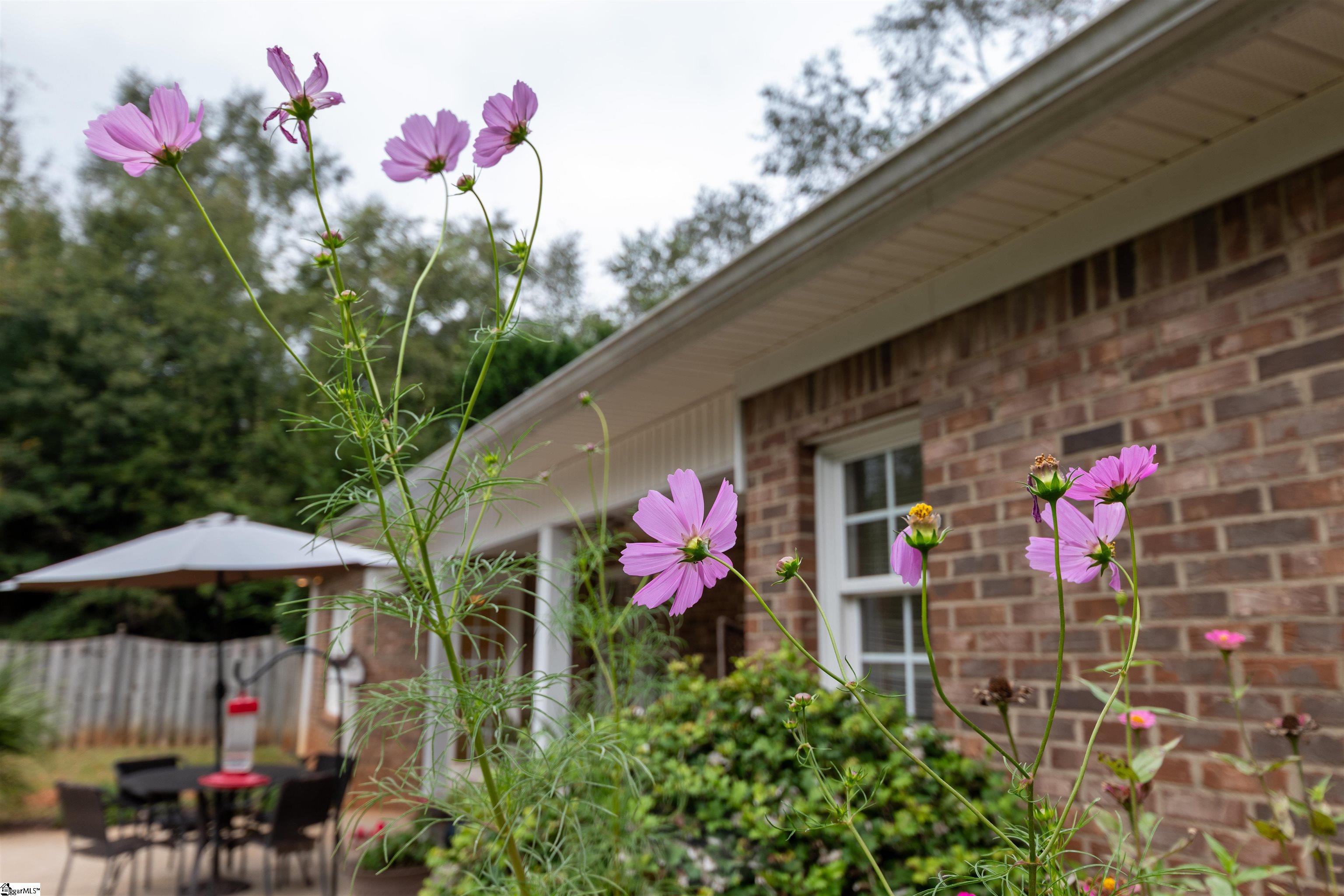 MLS #1571927 image #11