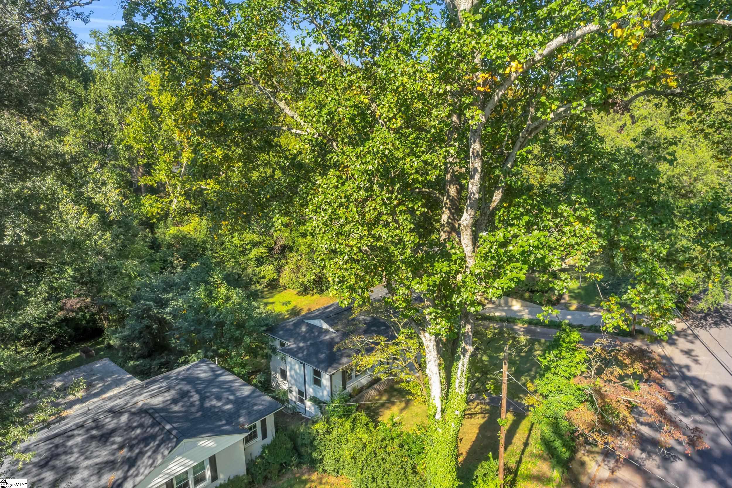 MLS #1571940 image #39