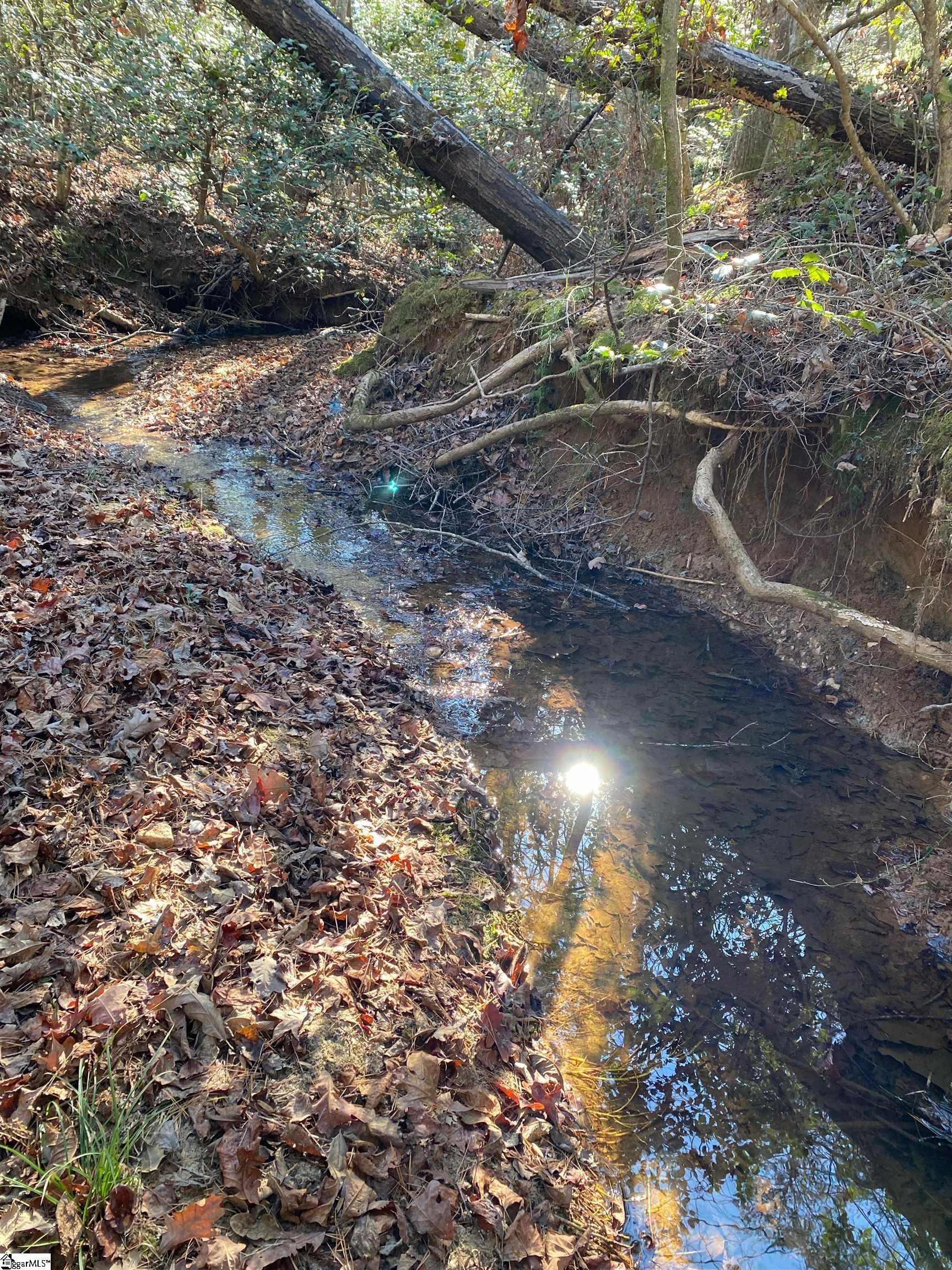 Homes for sale in Rutherfordton, NC | 660 Scoggins Rd, Rutherfordton, NC 28139 | MLS# 1571950