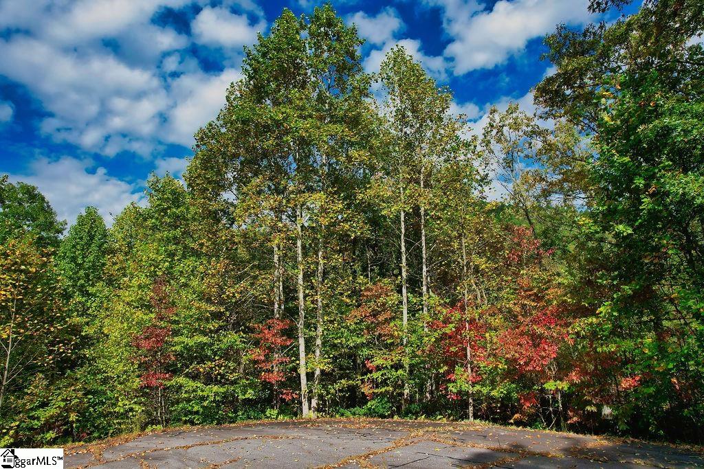 MLS #1572021 image #15