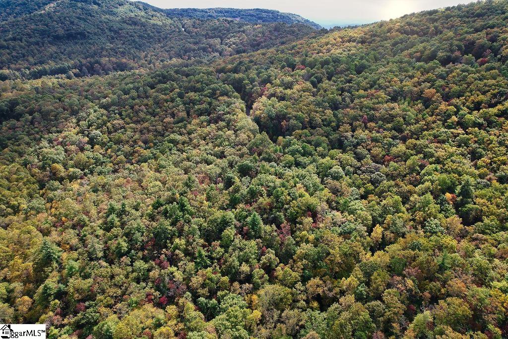 MLS #1572021 image #7