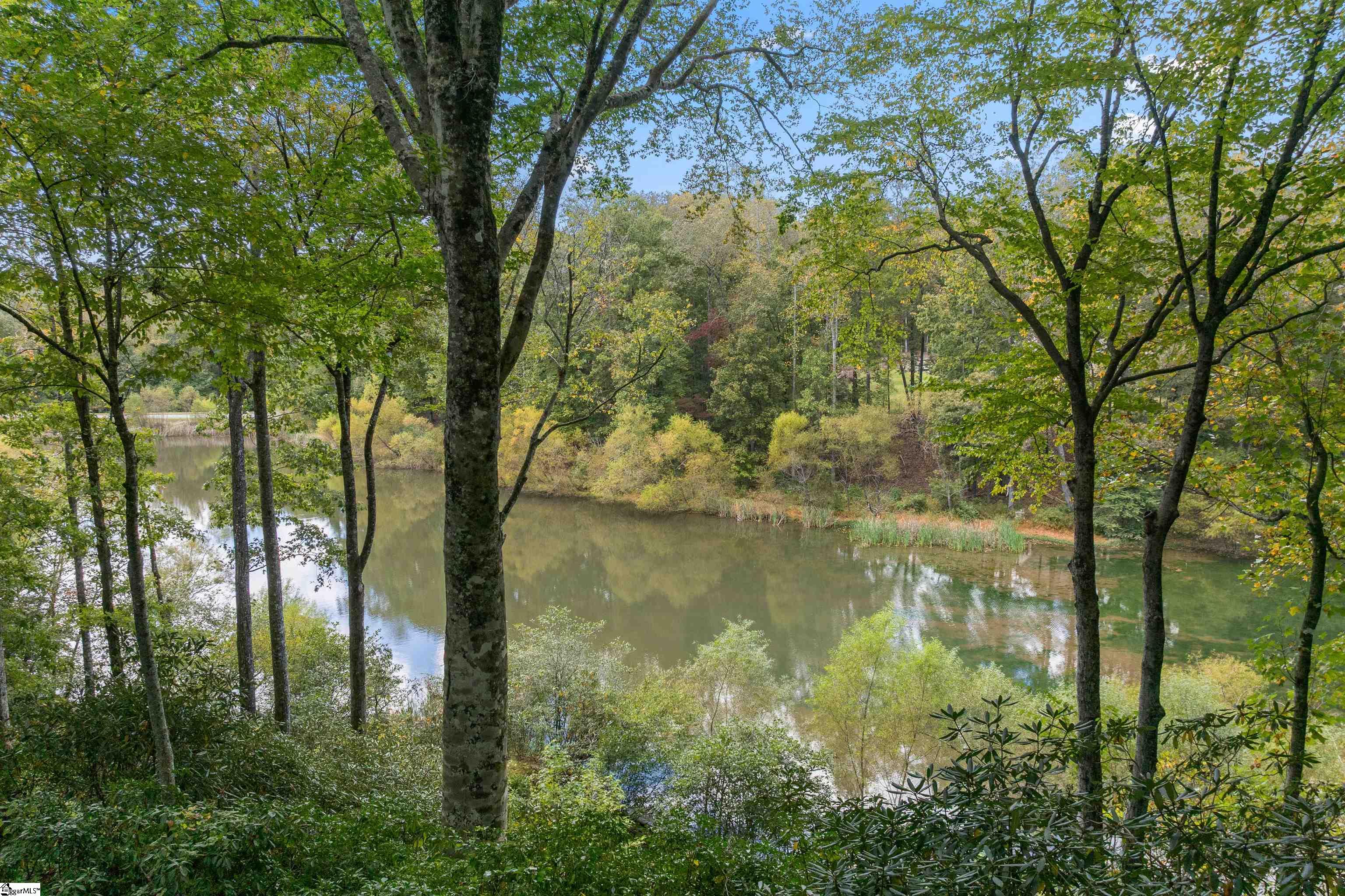 MLS #1572166 image #46