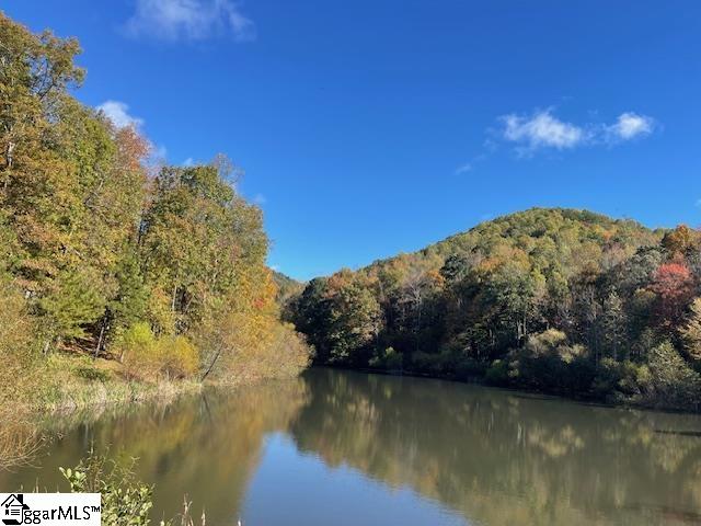 MLS #1572166 image #47