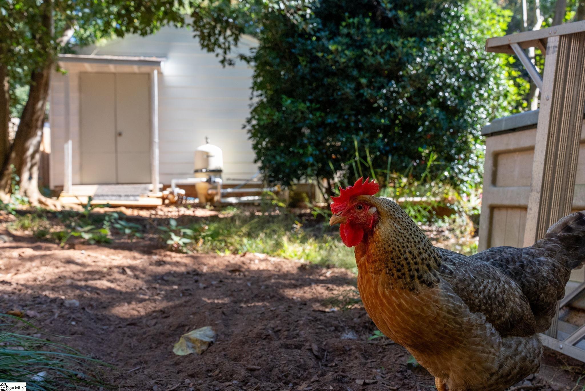 MLS #1572282 image #47