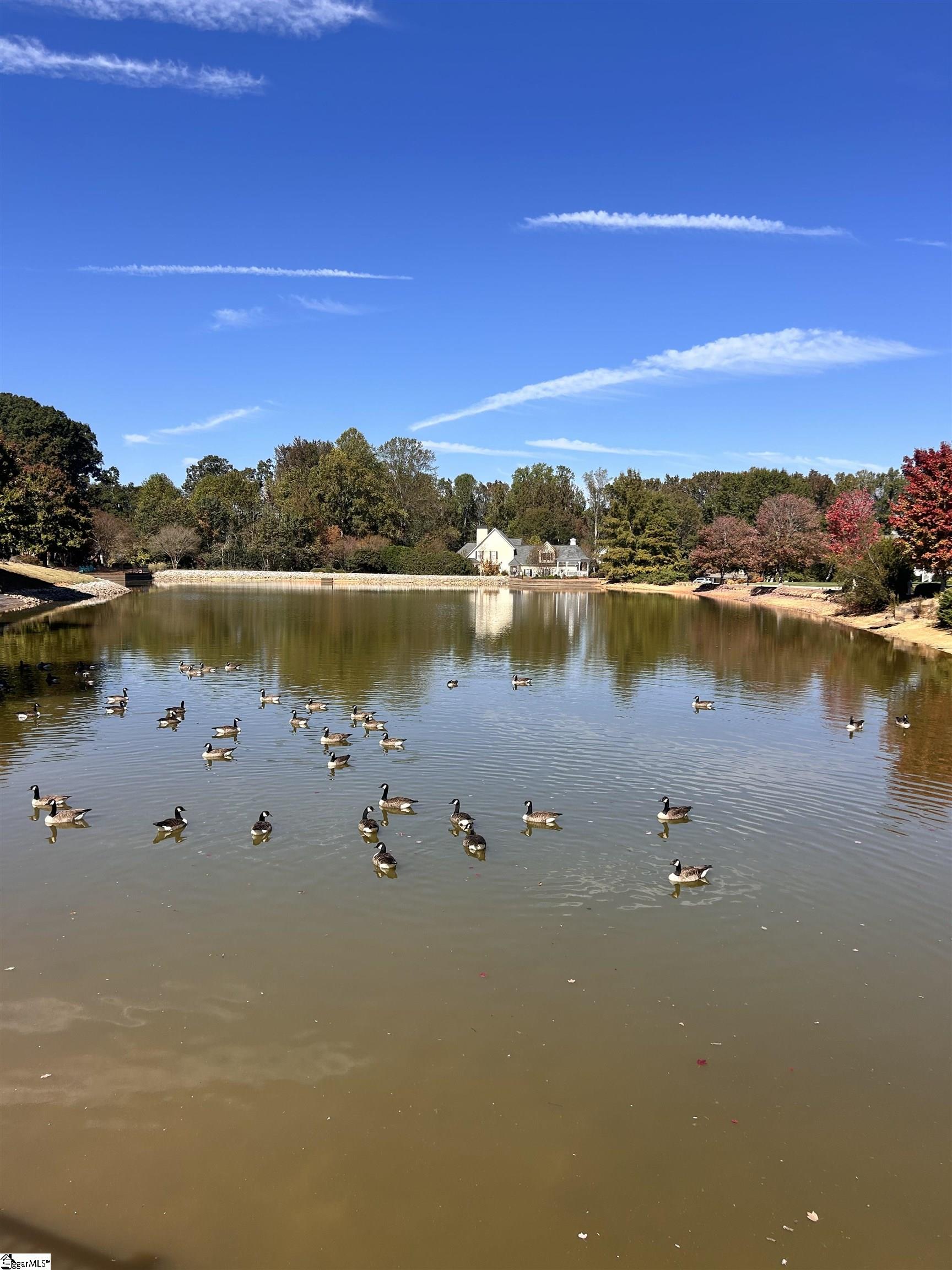 MLS #1572440 image #49