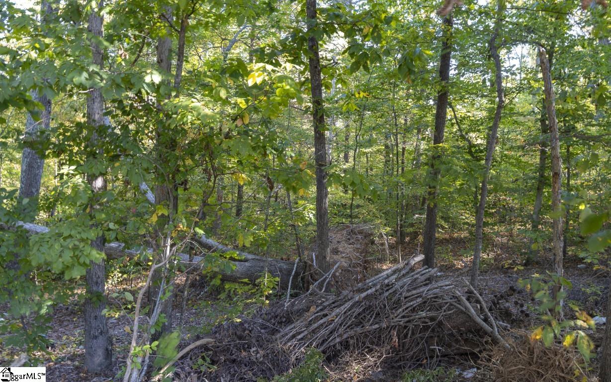 MLS #1572578 image #43