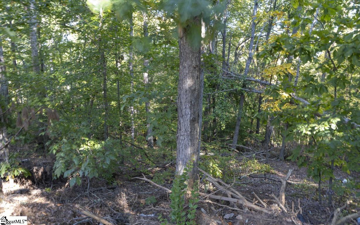 MLS #1572578 image #44