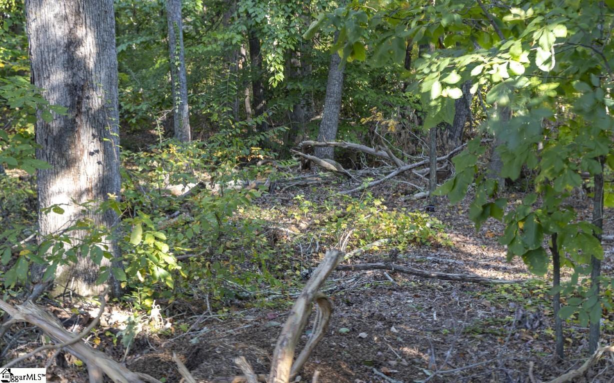 MLS #1572578 image #45