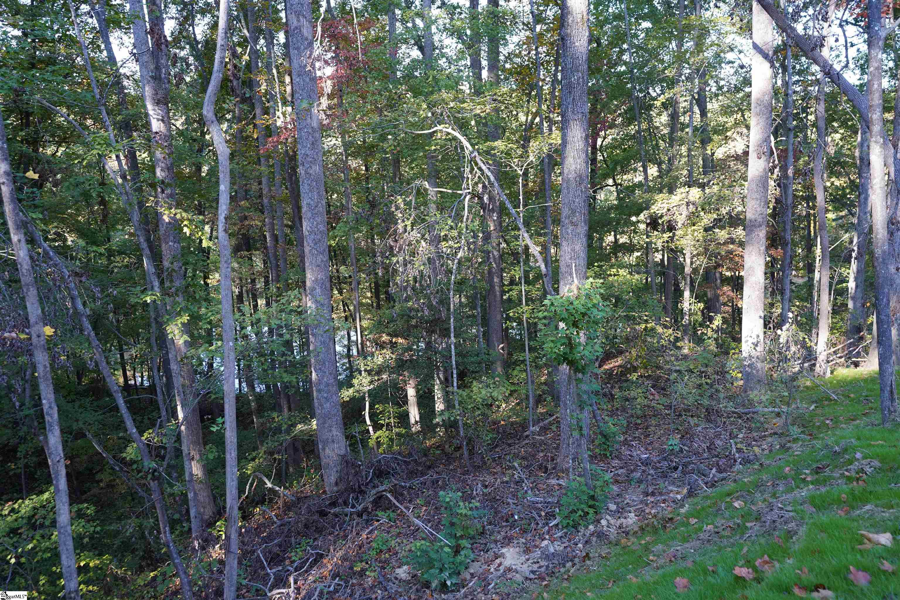 MLS #1572932 image #11