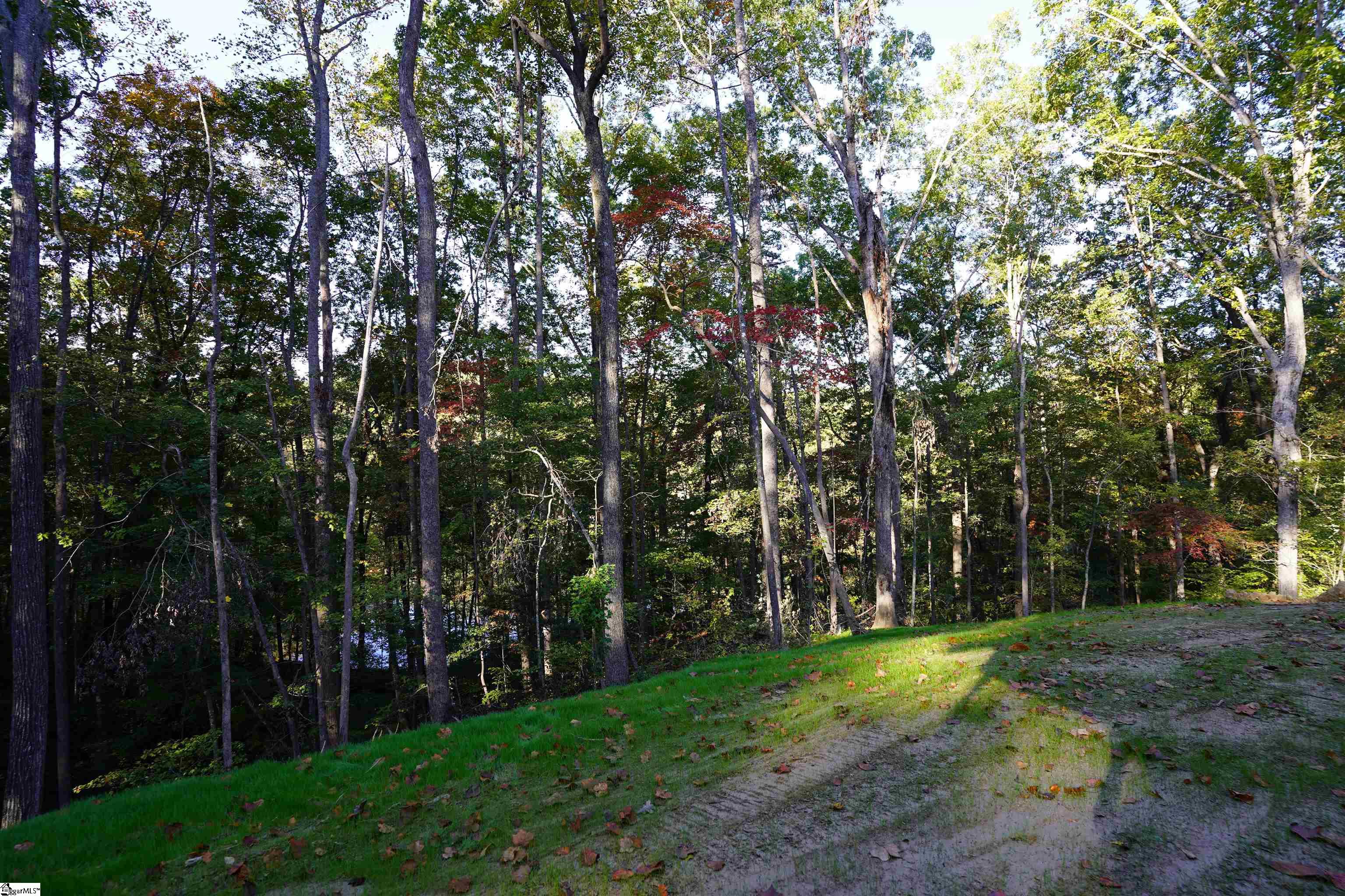 MLS #1572932 image #13