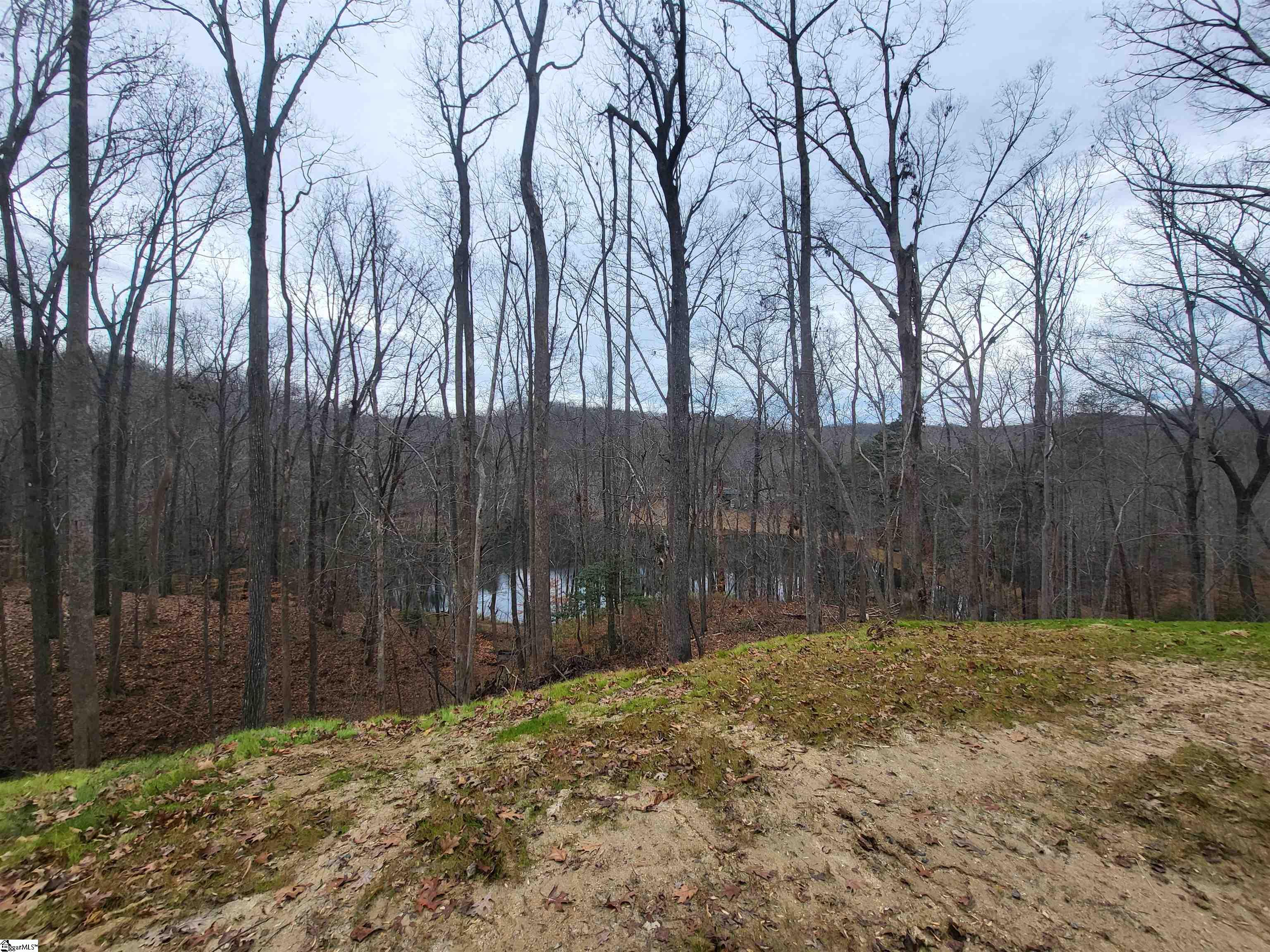 MLS #1572932 image #17