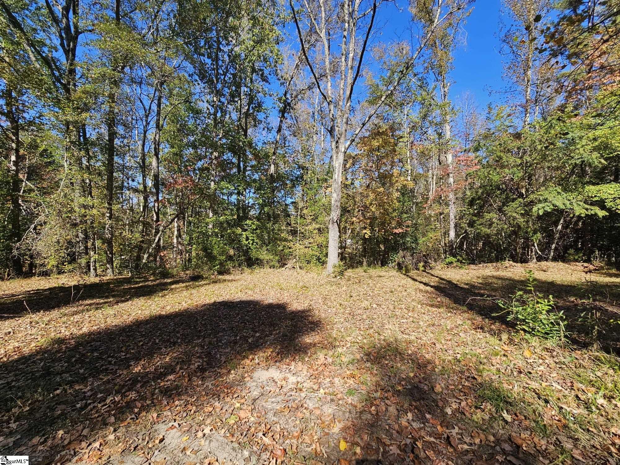 MLS #1572982 image #12