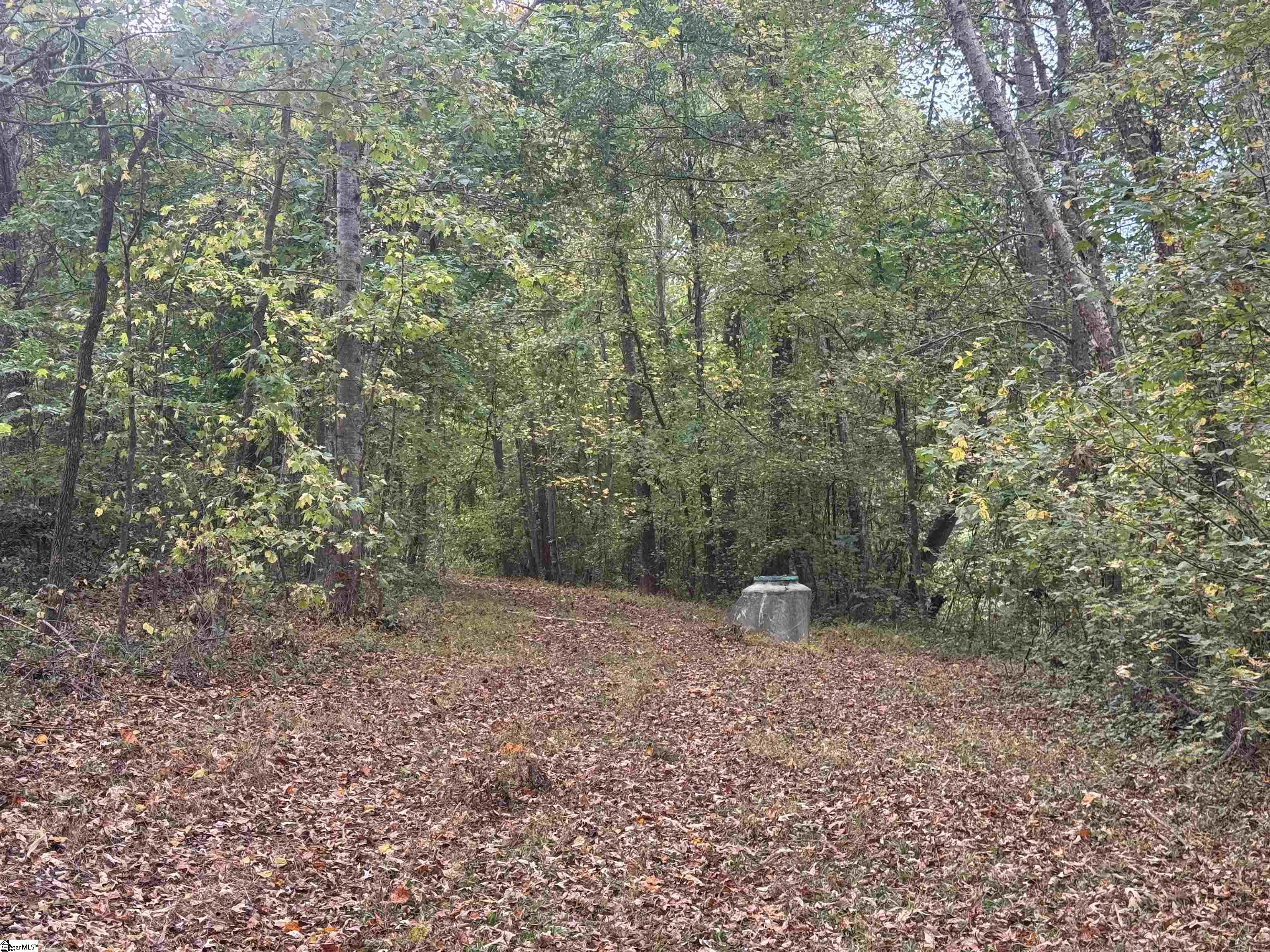 MLS #1573126 image #2