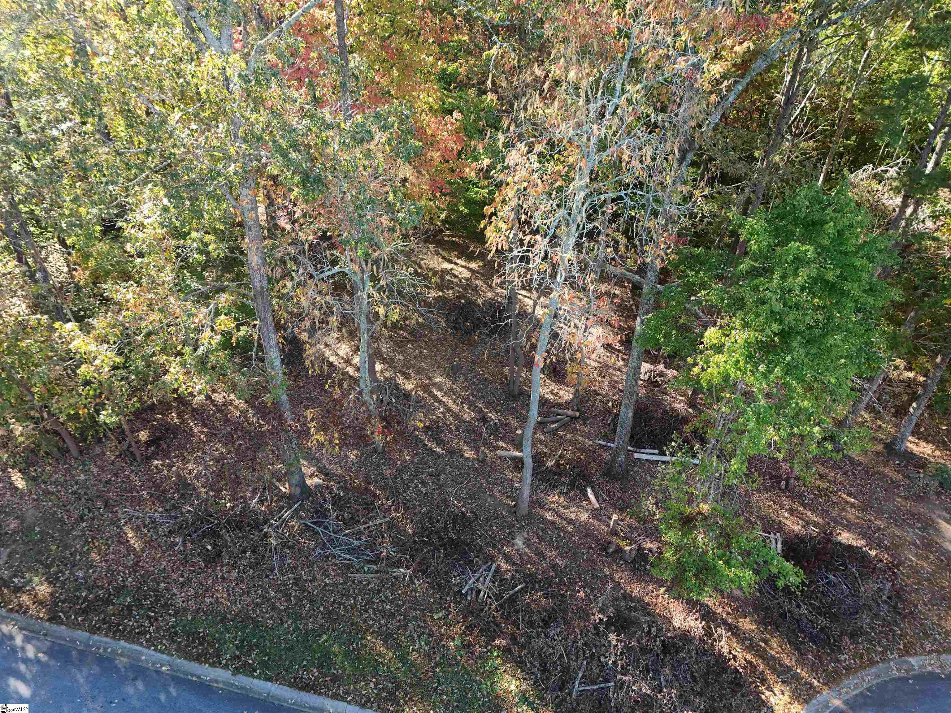 MLS #1573266 image #10