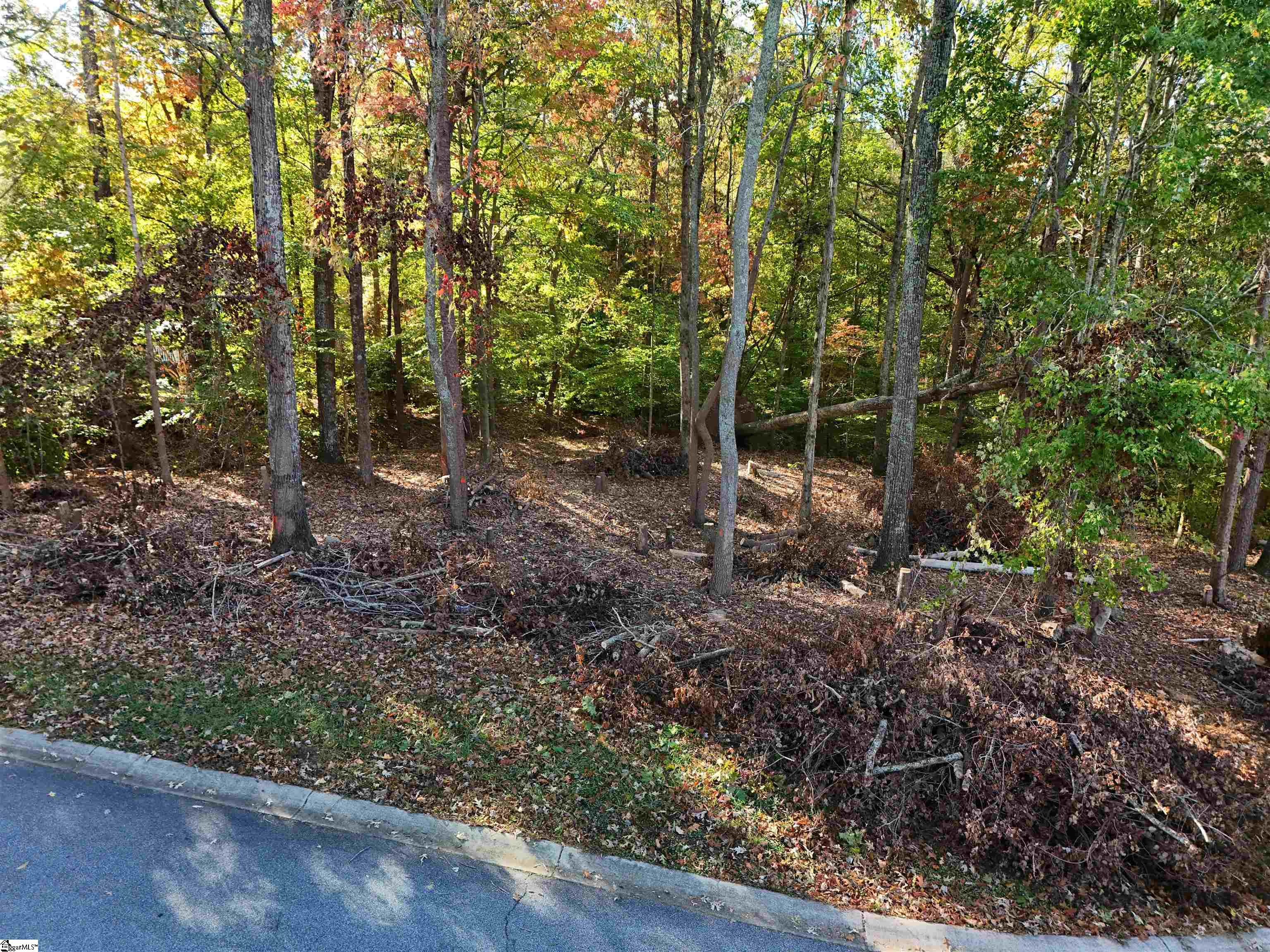 MLS #1573266 image #8