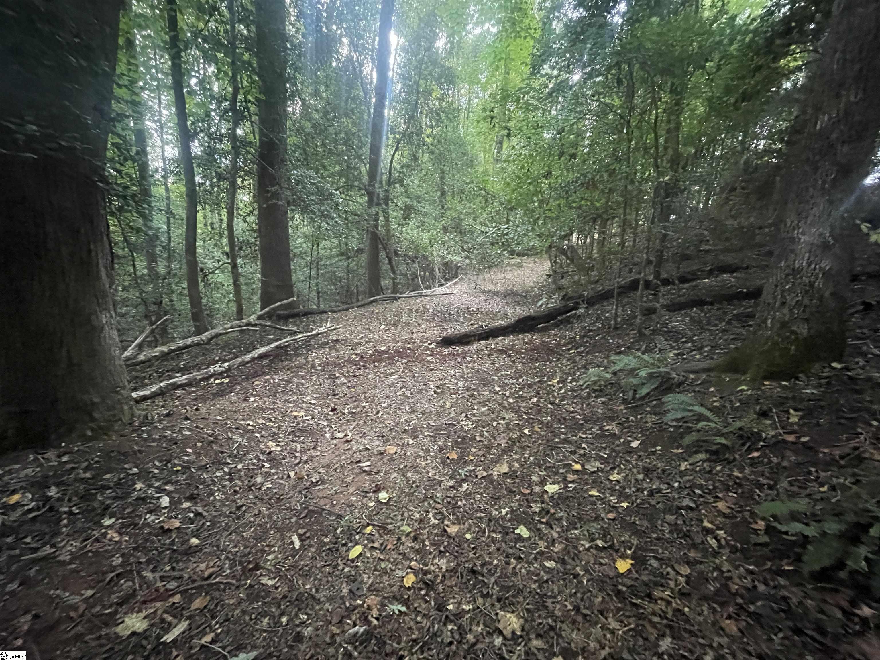 MLS #1573312 image #3