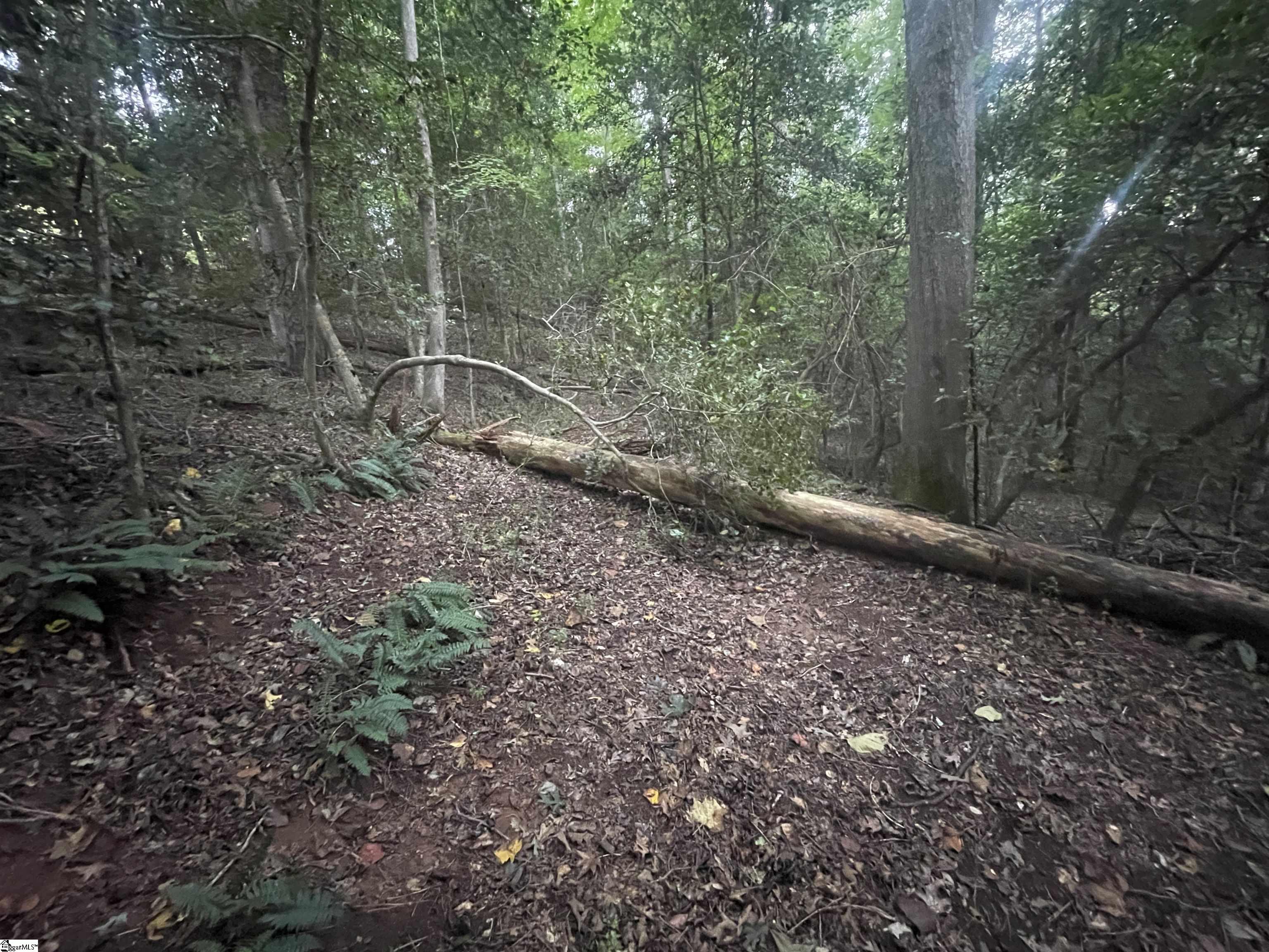 MLS #1573312 image #4