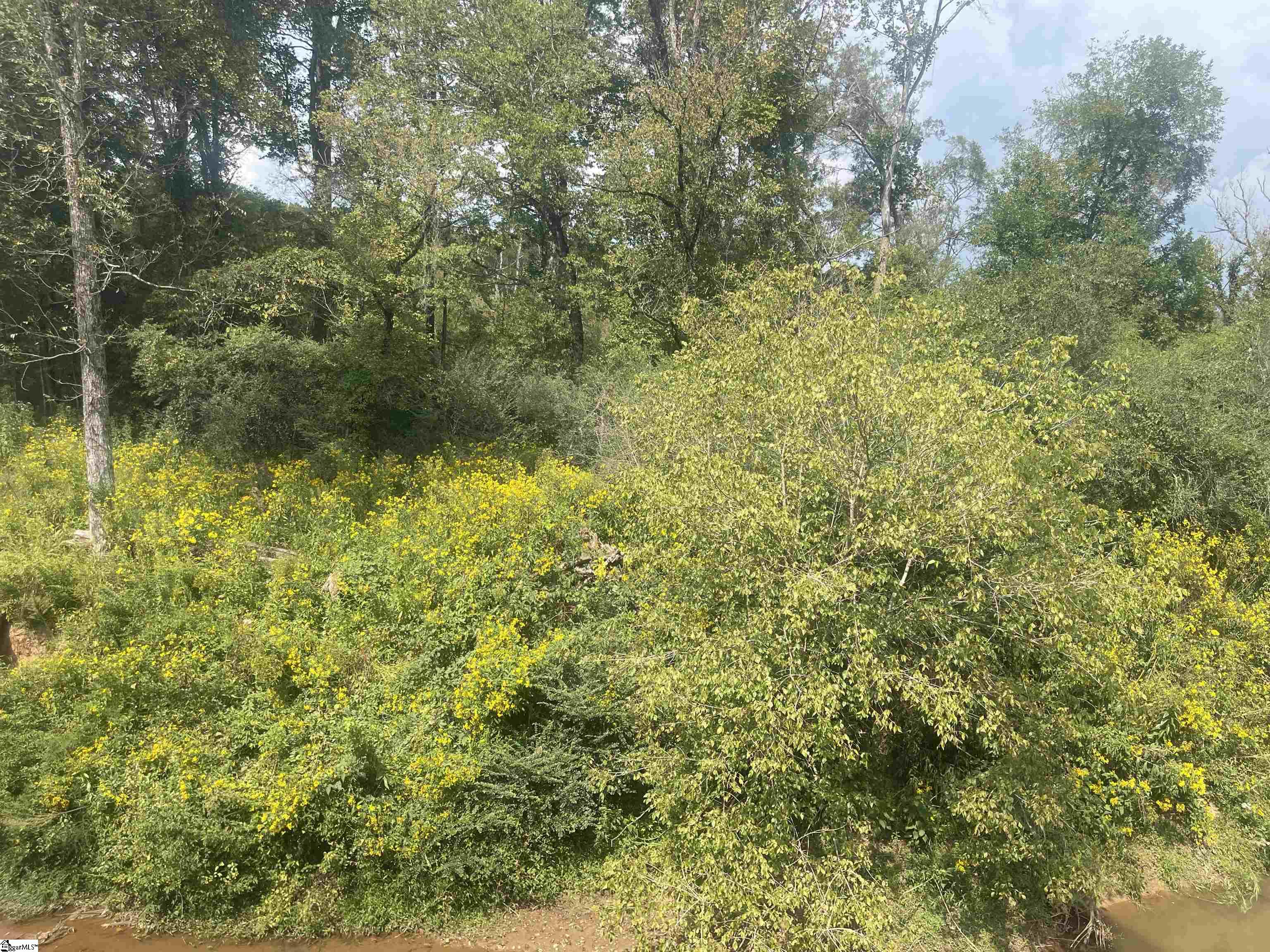 MLS #1573312 image #6