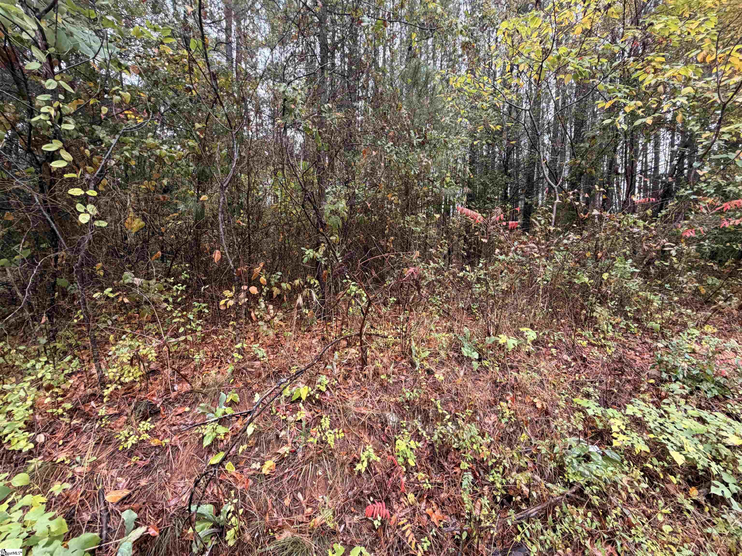 MLS #1573321 image #3