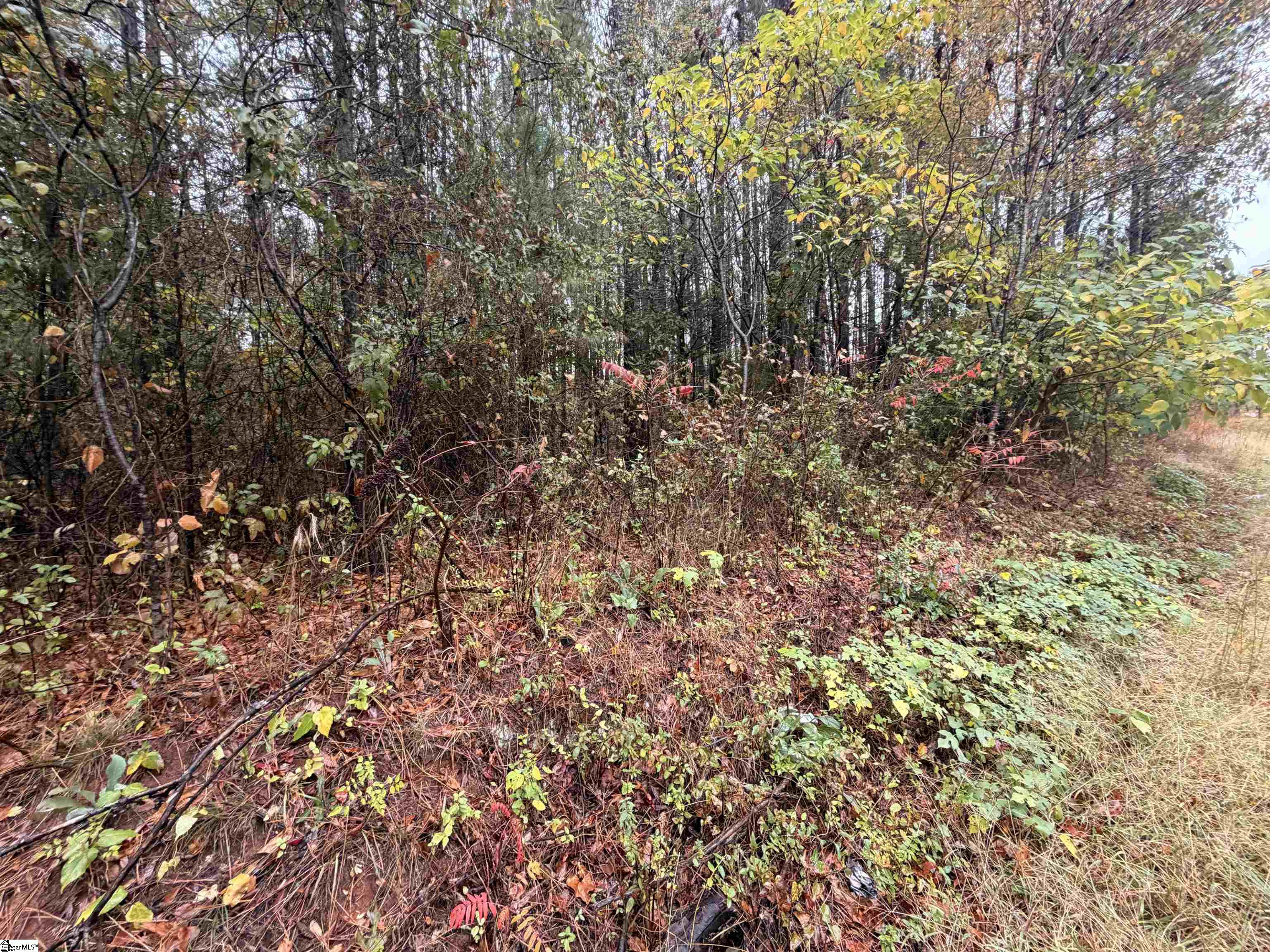 MLS #1573321 image #4