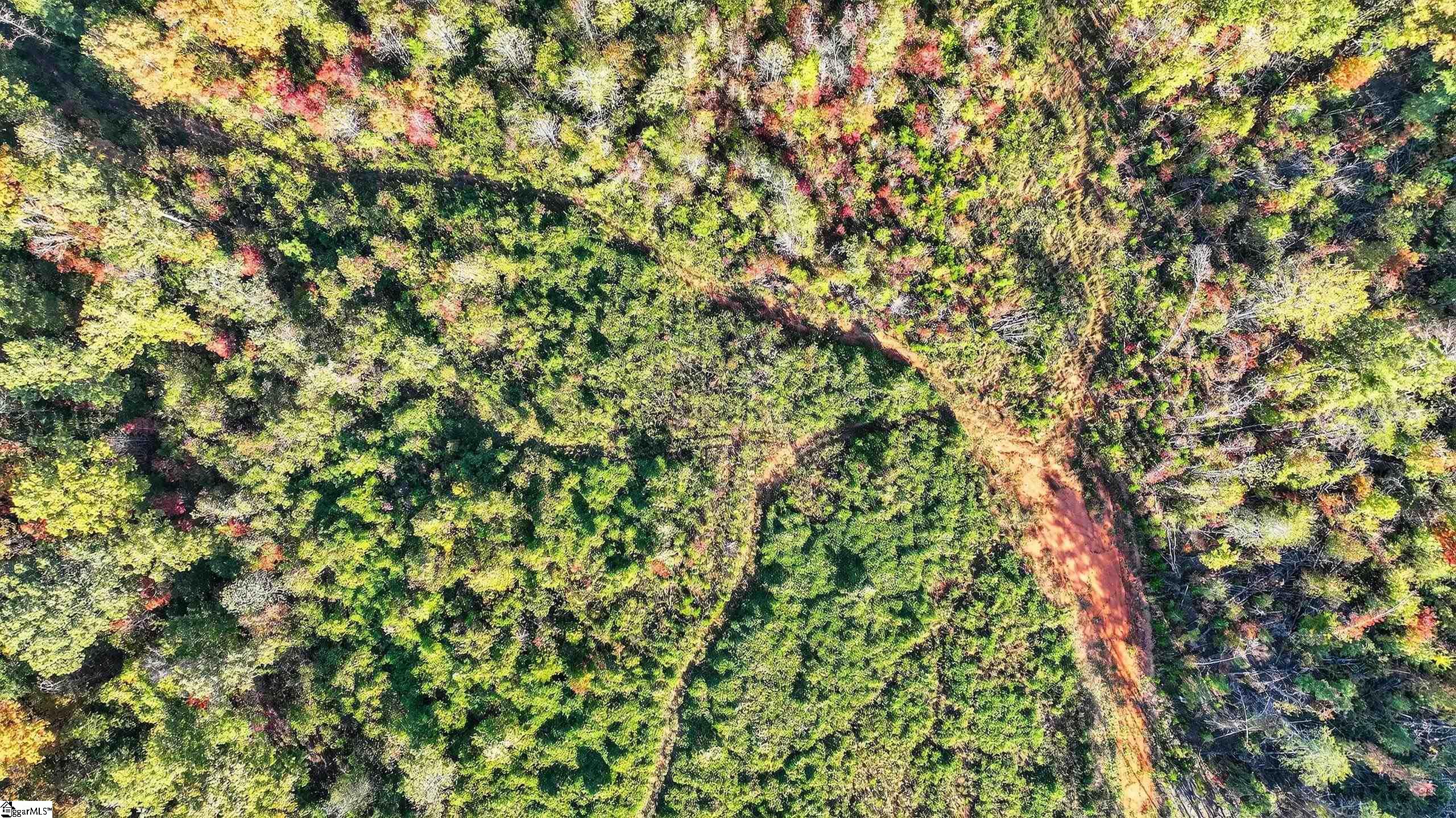 MLS #1573481 image #14