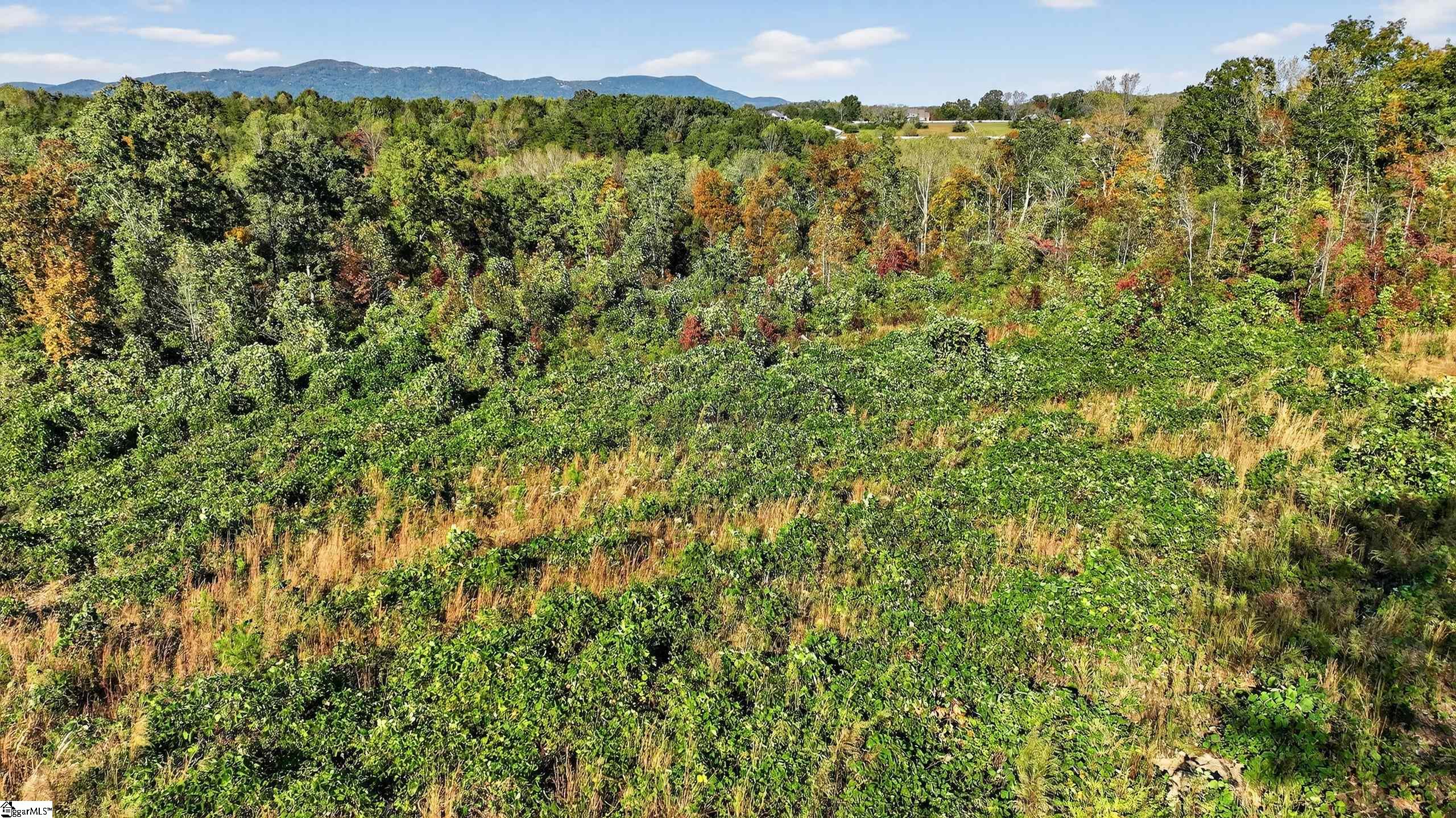 MLS #1573481 image #15