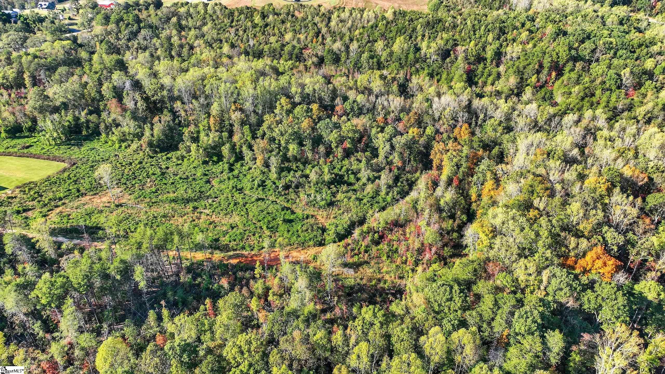 MLS #1573481 image #4