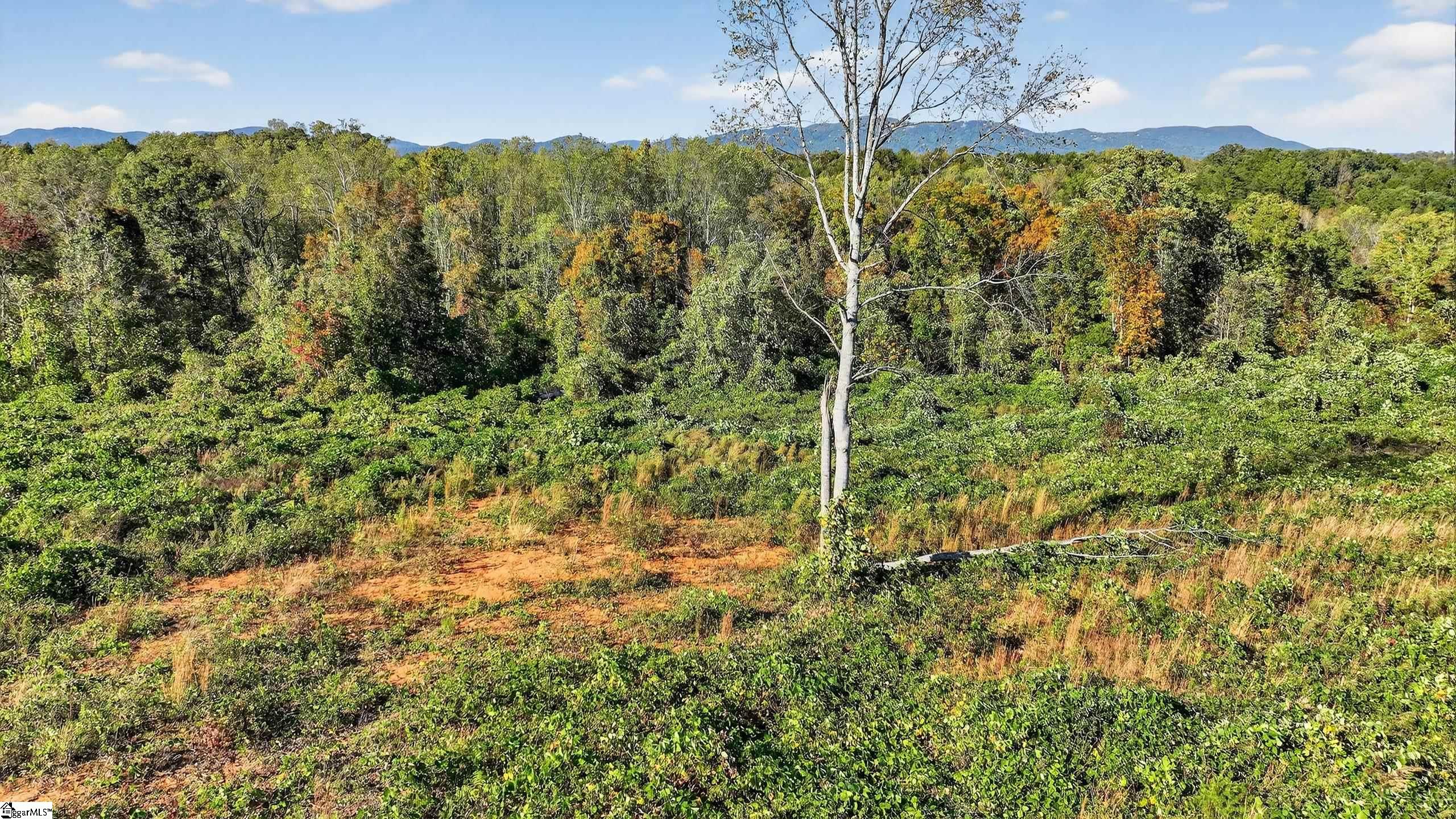 MLS #1573482 image #13