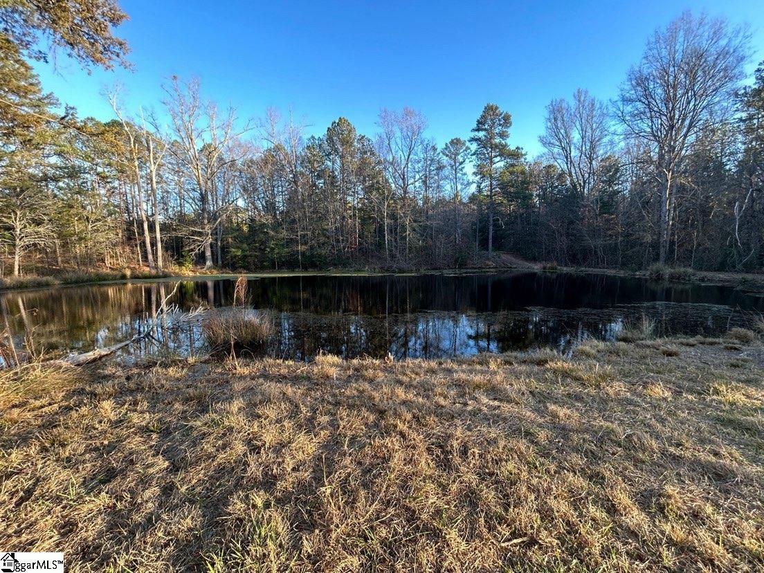 Homes for sale in Jonesville, SC | 210 Graystone Rd, Jonesville, SC 29353 | MLS# 1573723