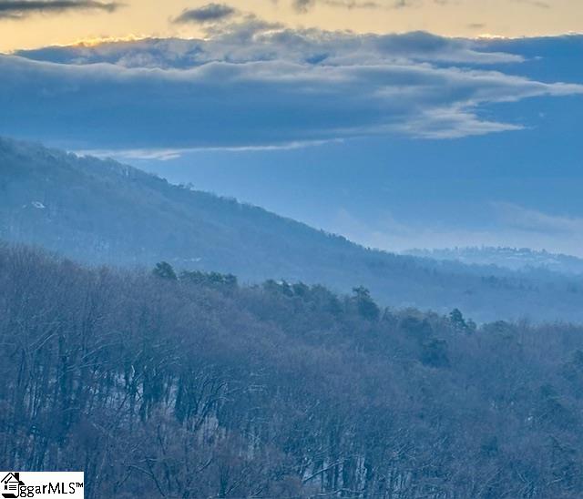 MLS #1573760 image #48