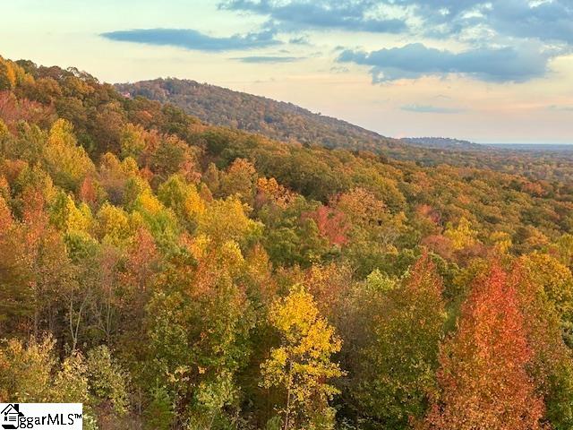 MLS #1573760 image #49