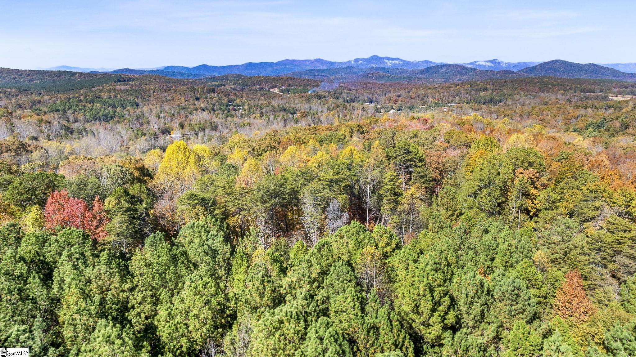 MLS #1574134 image #29