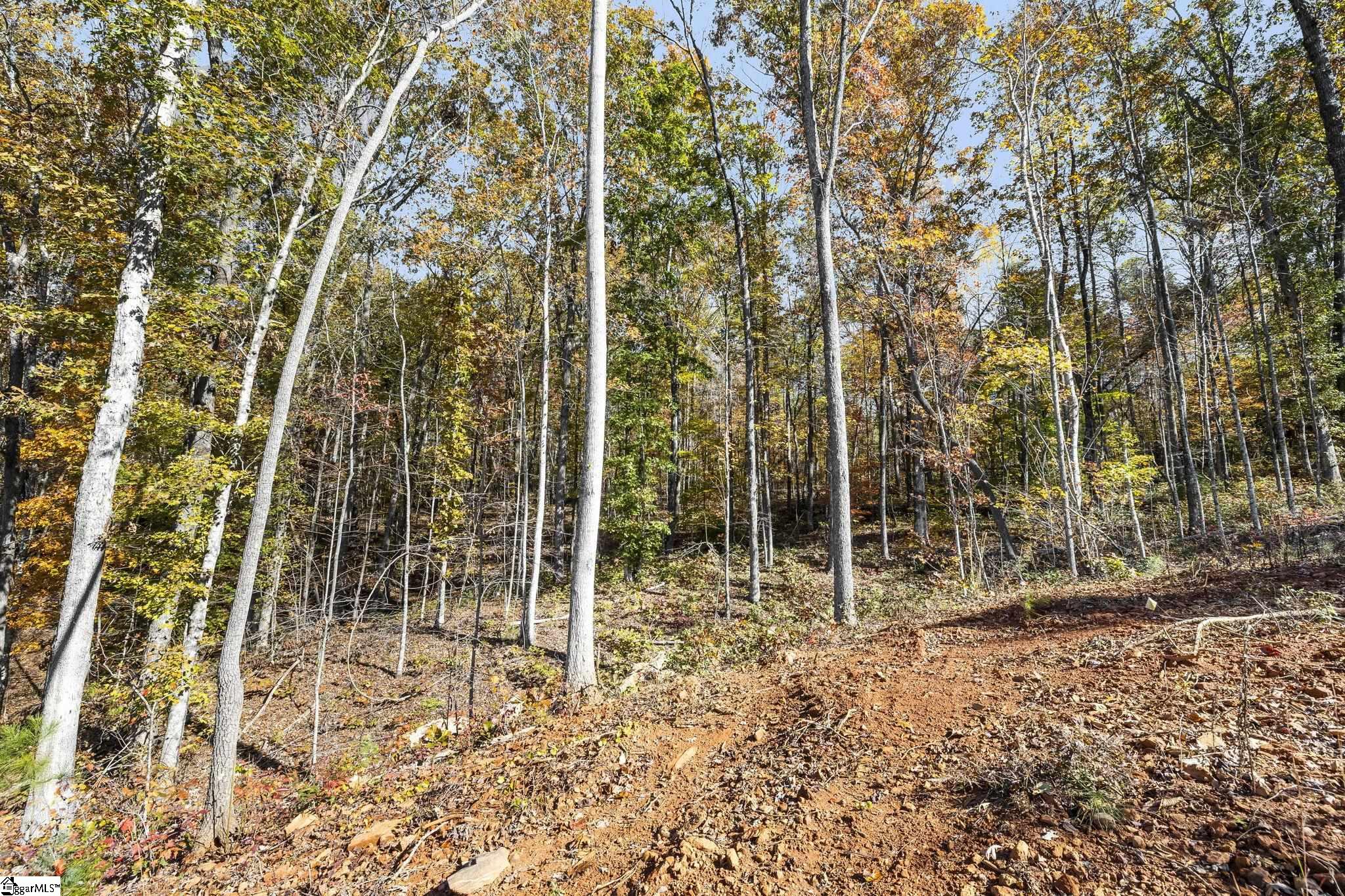 MLS #1574134 image #32