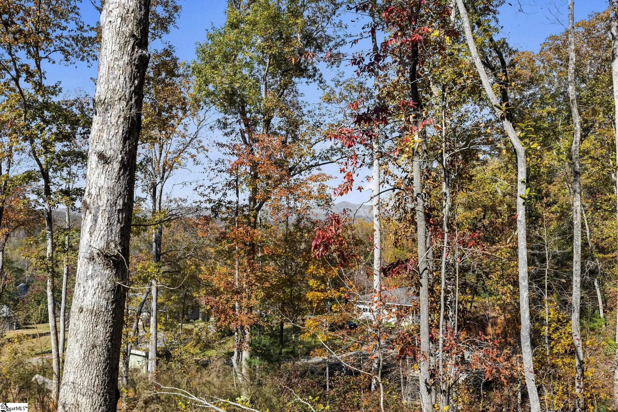 MLS #1574134 image #35