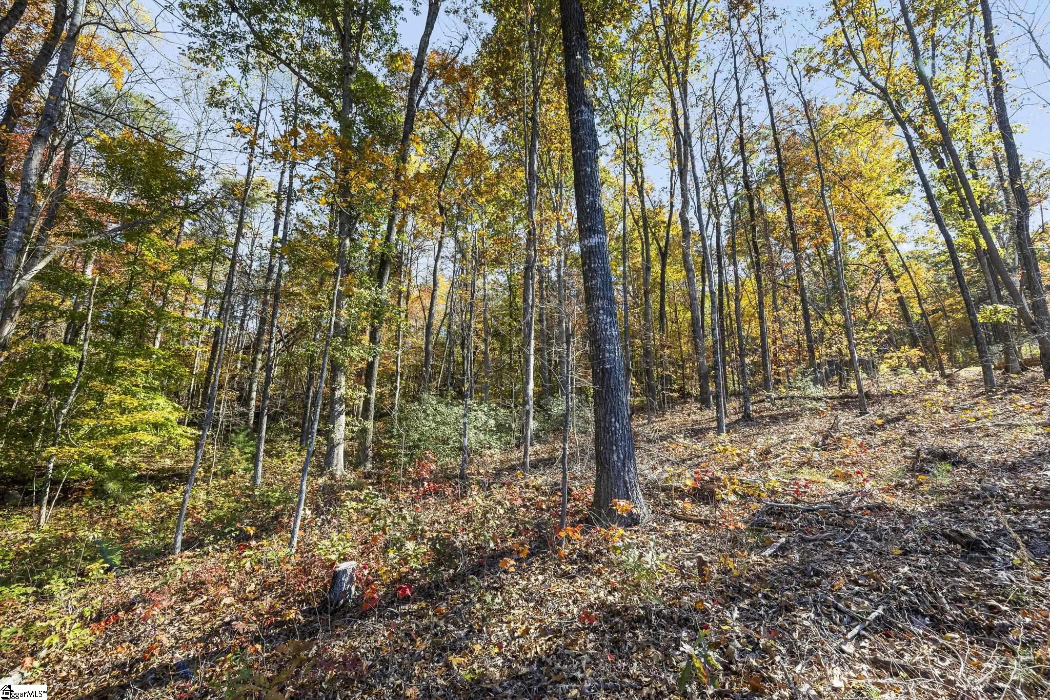 MLS #1574134 image #36