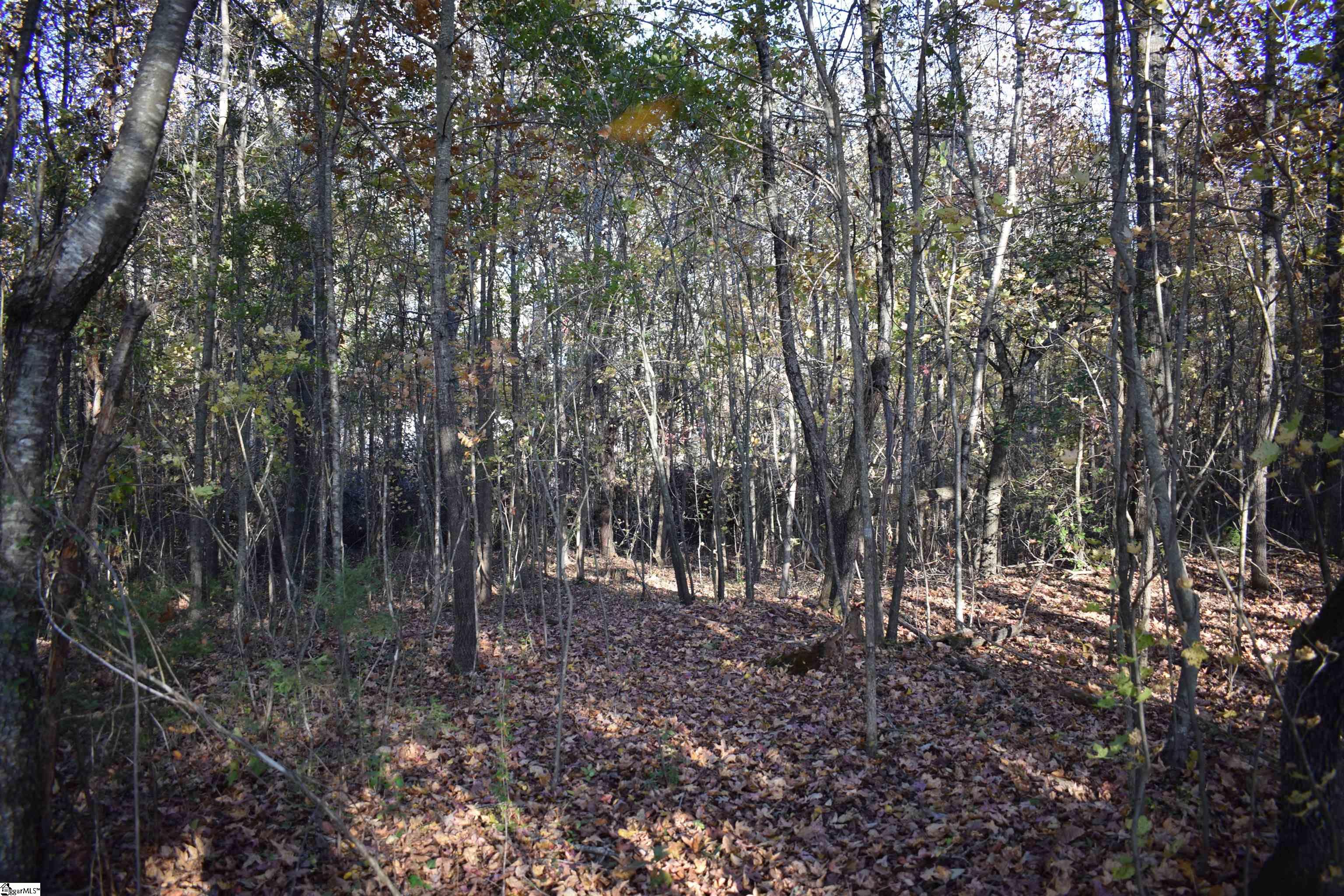 MLS #1574147 image #10