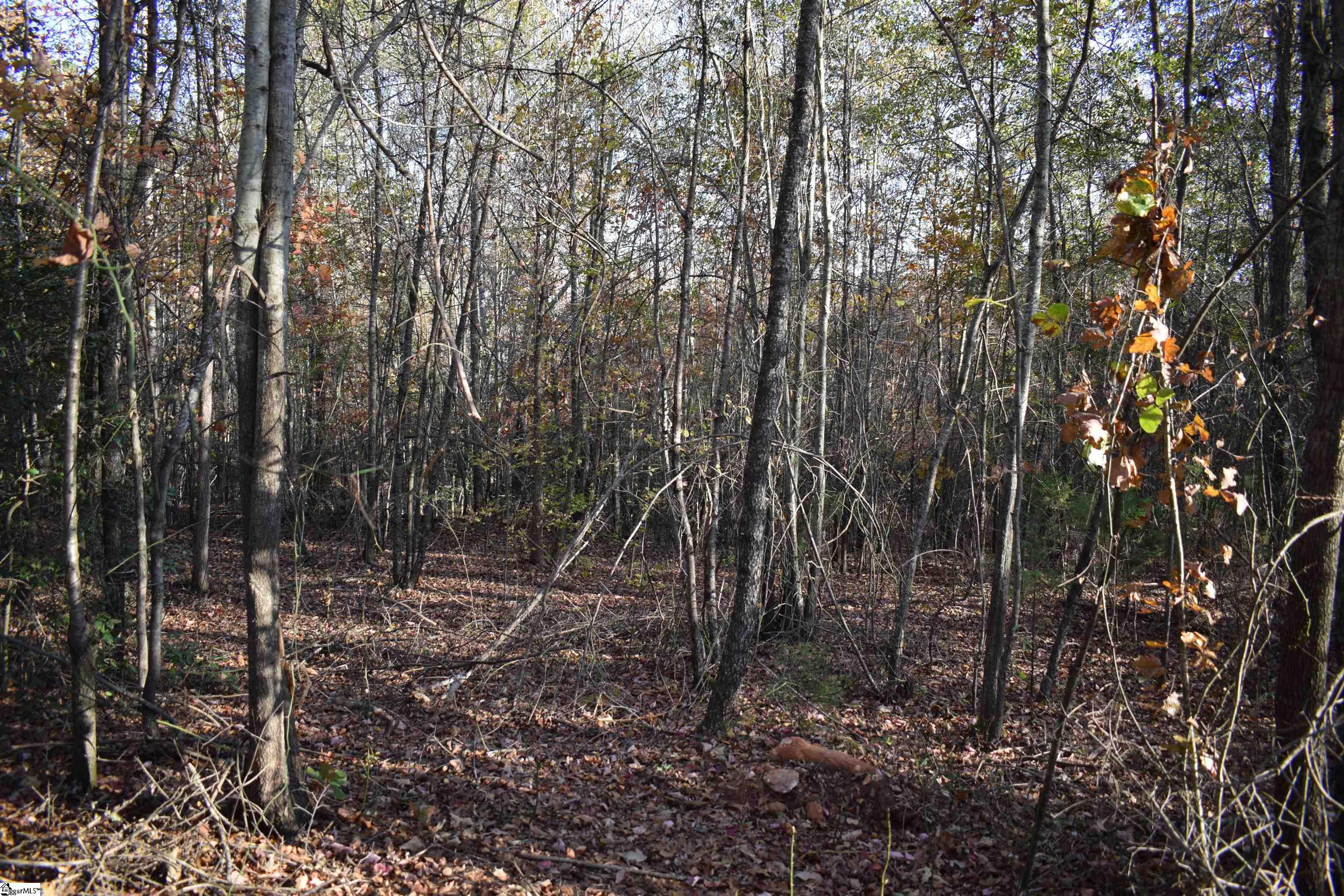 MLS #1574147 image #16