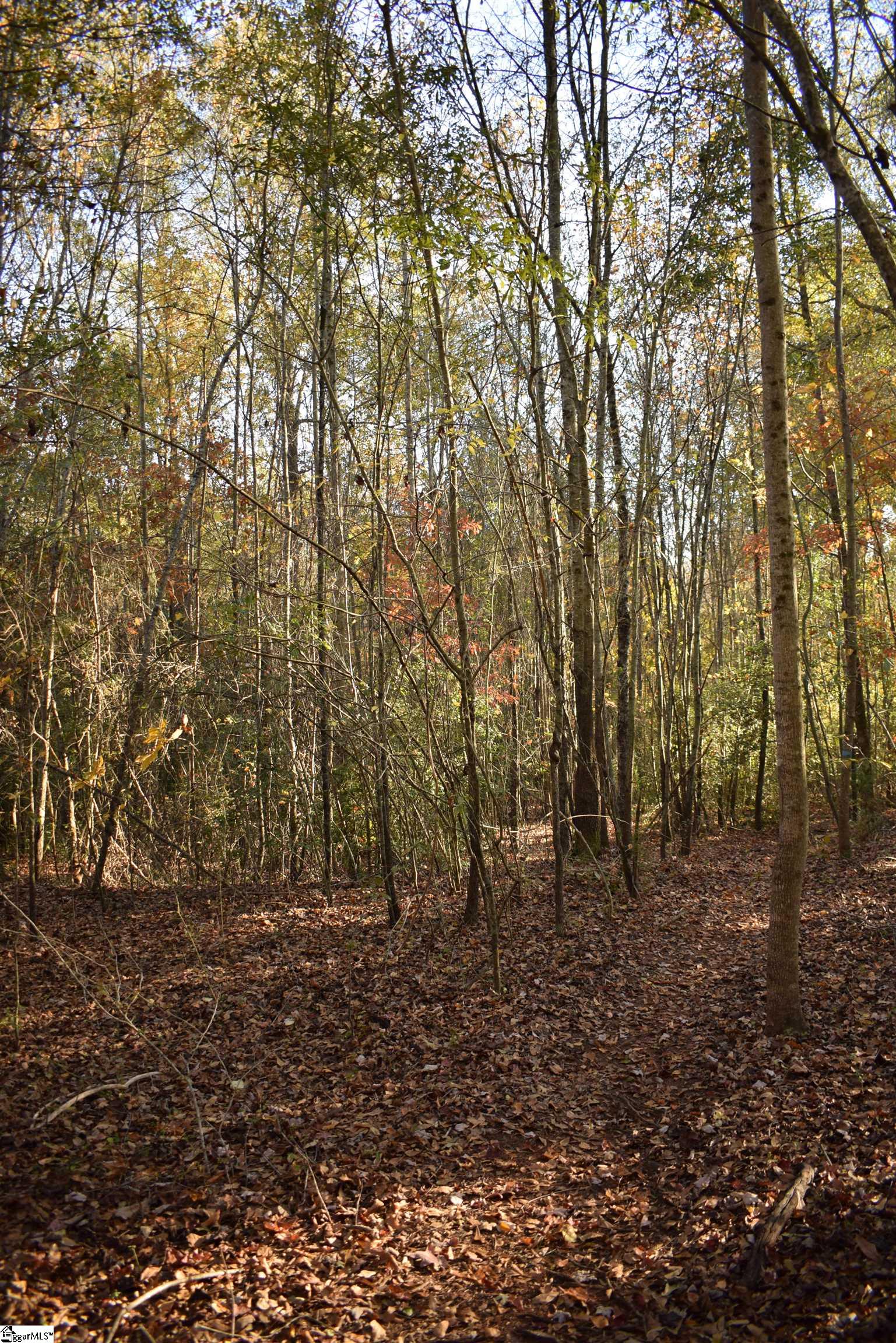 MLS #1574147 image #20