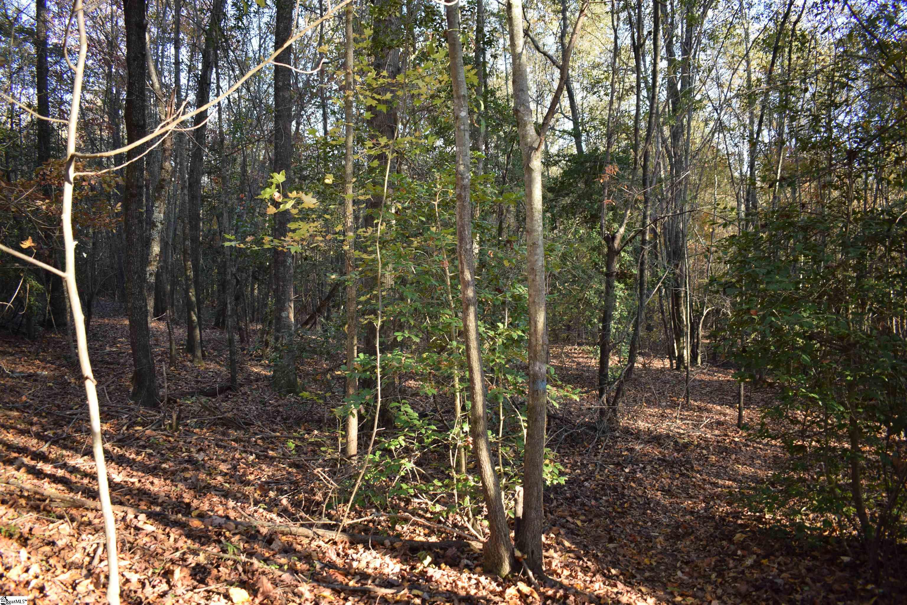 MLS #1574147 image #21