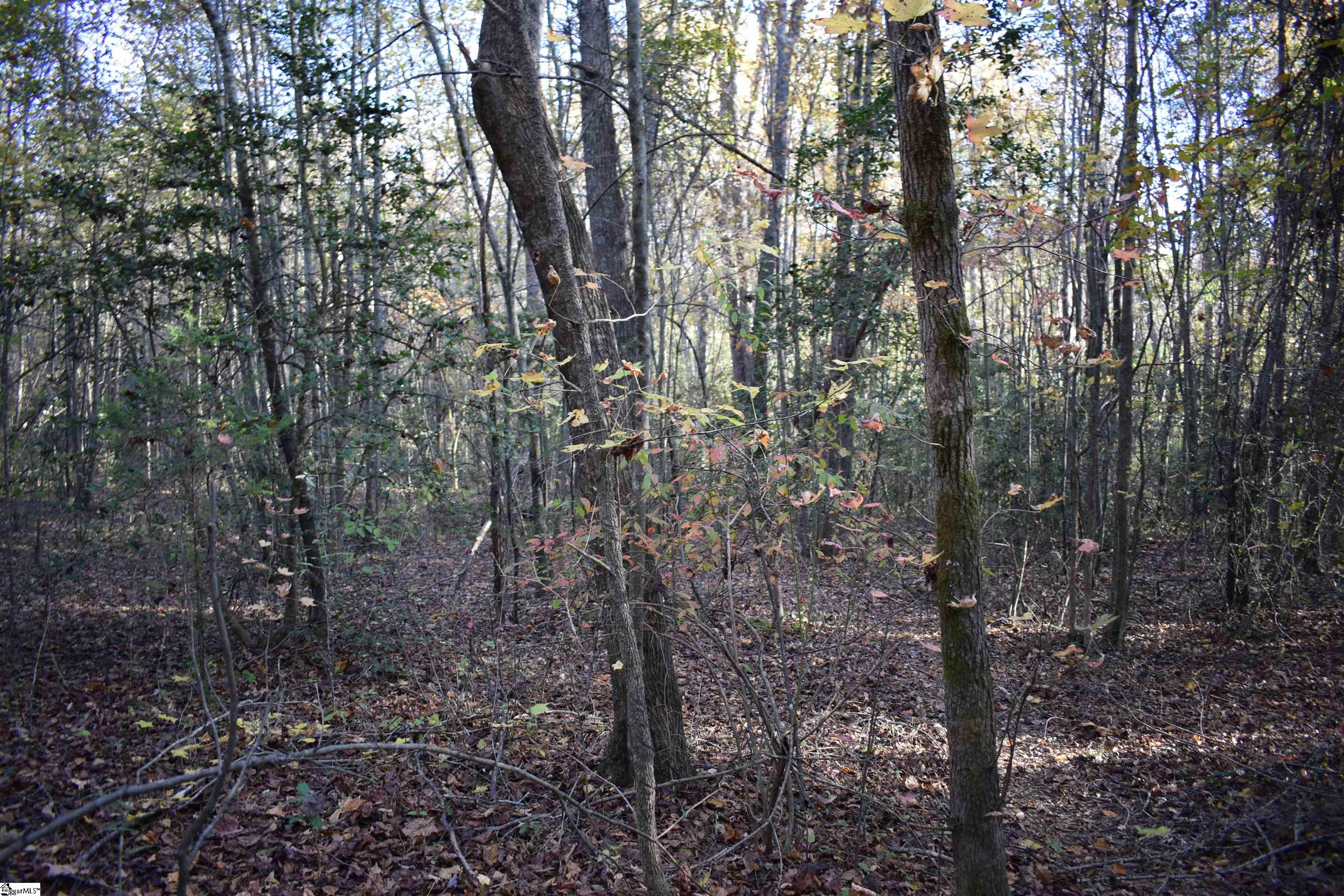 MLS #1574147 image #22